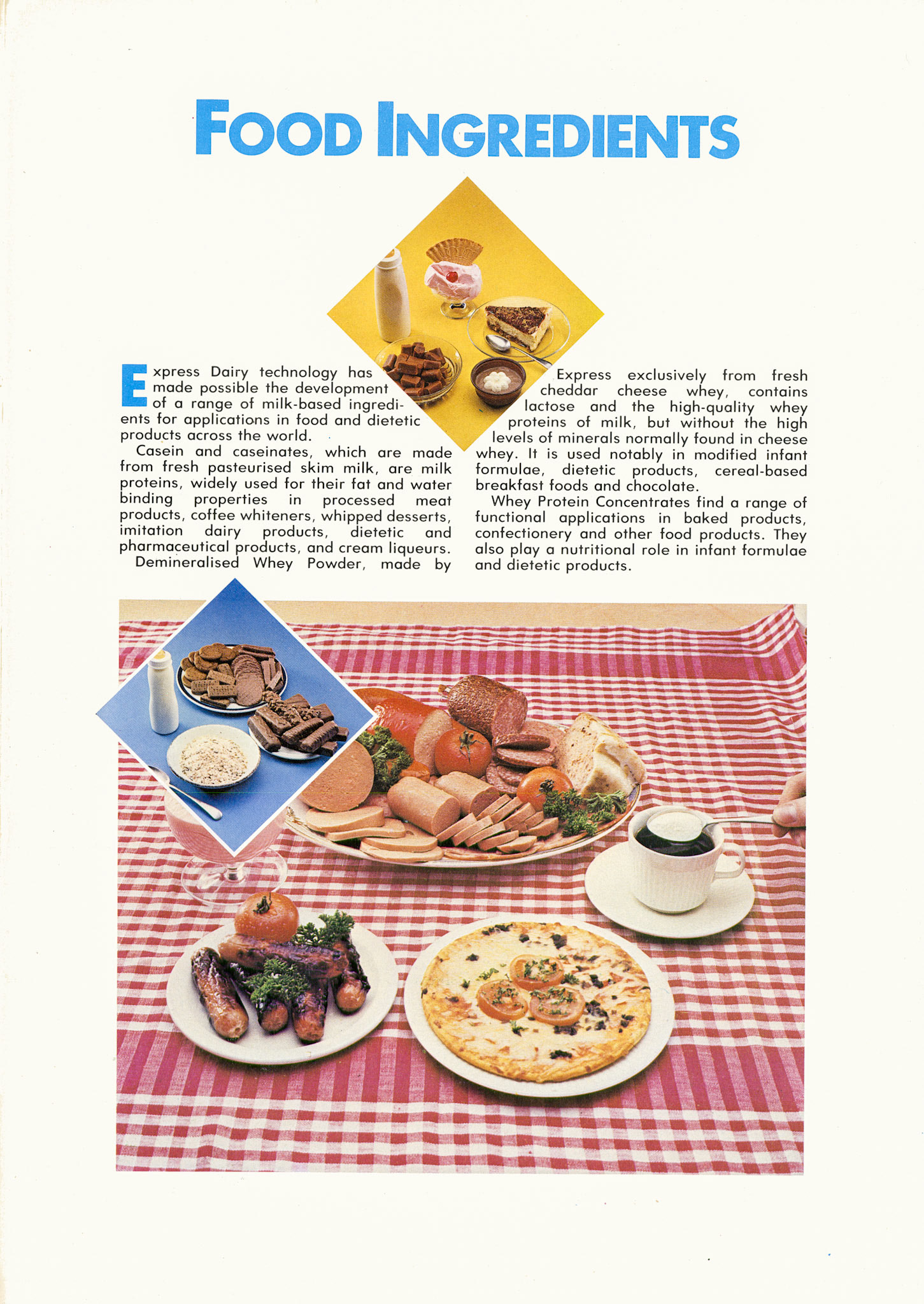 1980c Express Export Dept. brochure (Courtesy Paul Luke)