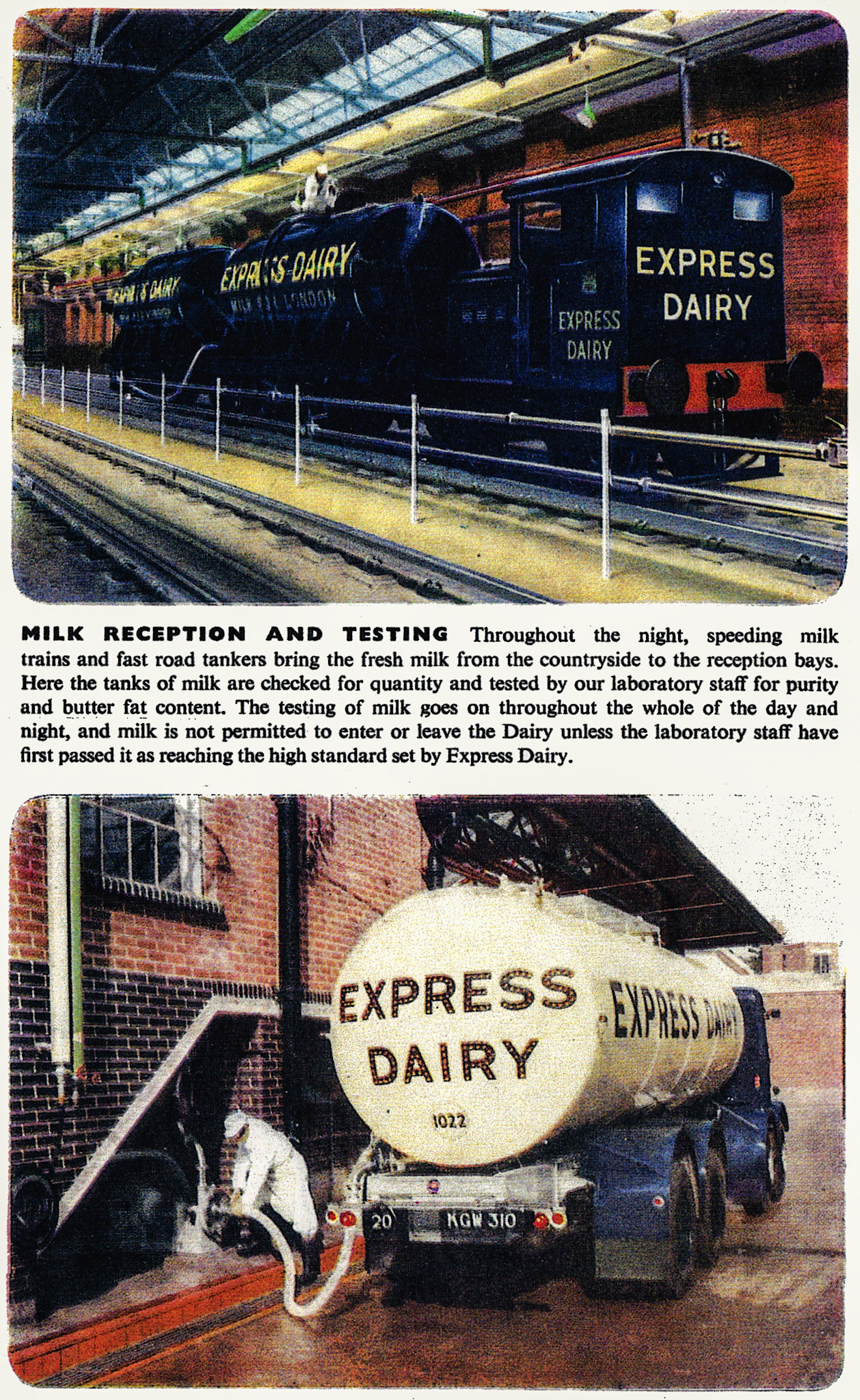 1955 South Morden brochure (Courtesy Dave Fane)