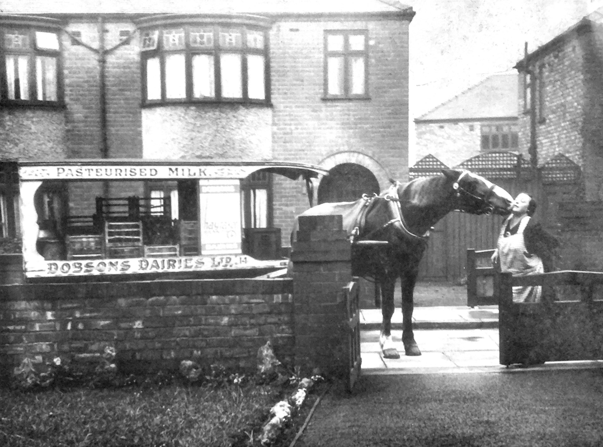 1930's Dobson's Dairies horse-drawn milk floats. Belinda comments "The photos are in South Manchester, either Wilbraham Rd or Wellington Road, Whalley Range". (Courtesy Belinda Tilley Langridge)