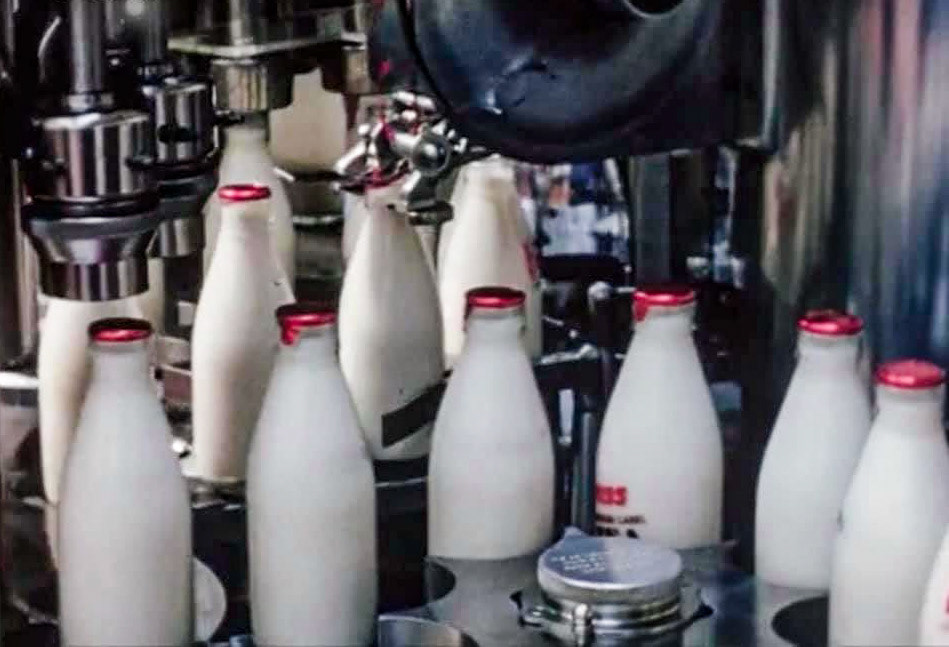 1950's? Capping TT milk at South Morden. (Courtesy Paul Smith)
