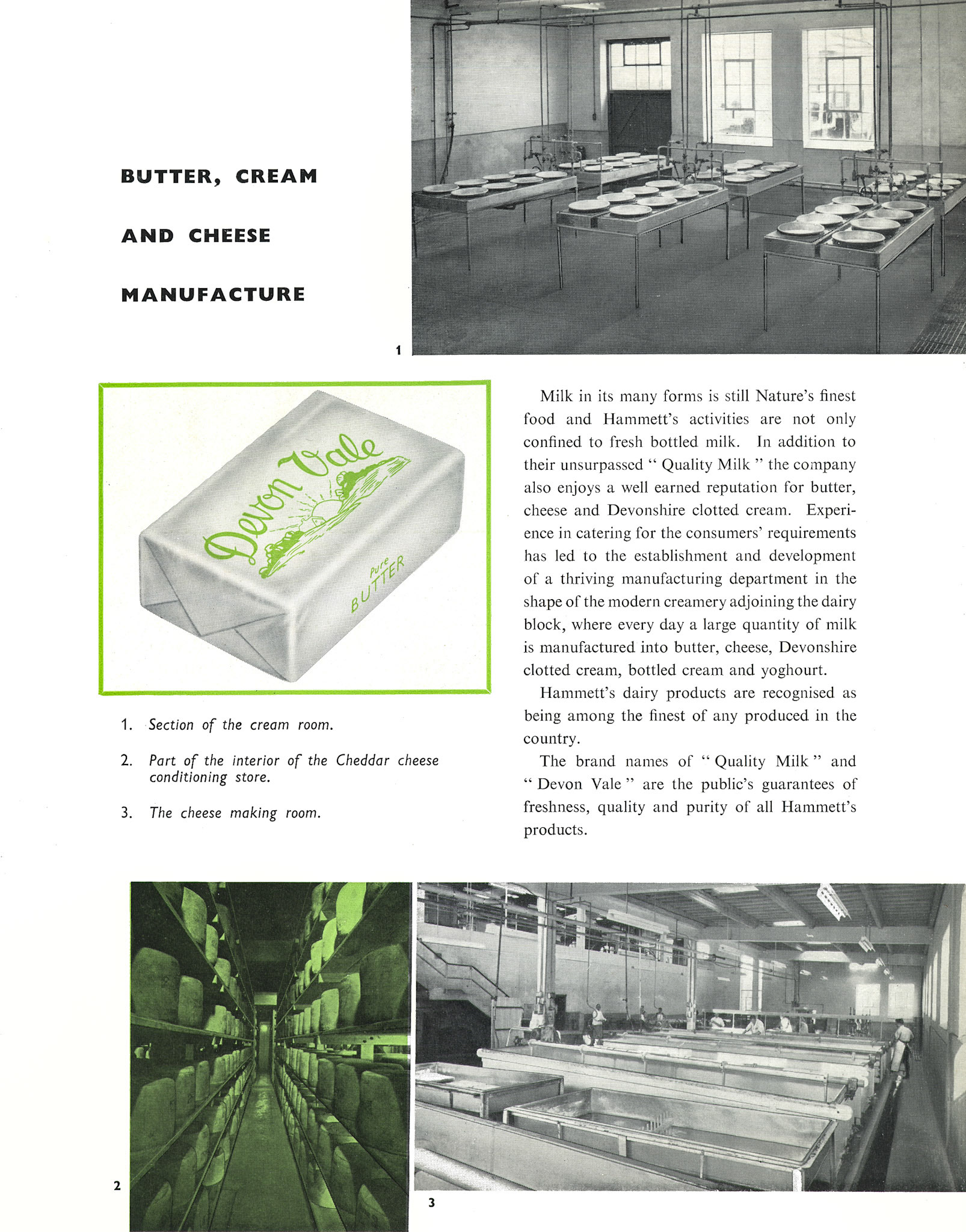 1957 Hammett's Dairies brochure. 'Devon Vale' butter, cheese, clotted cream and yoghurt. (Courtesy Michael Mitchell)