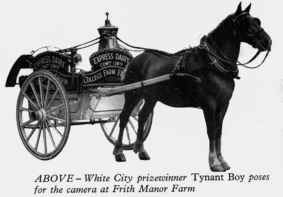 1959 'Tynant Boy' at Frith Manor Farm. (Express News October)