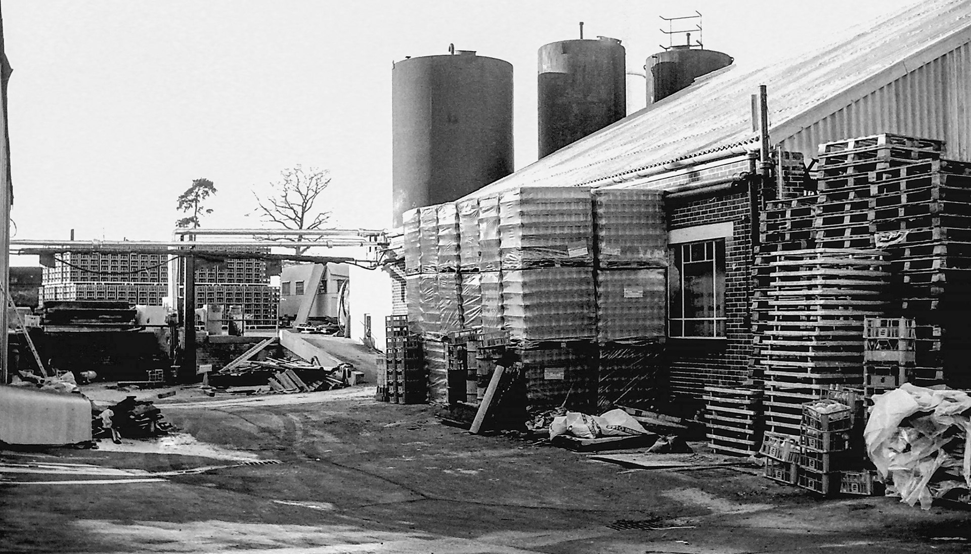 1979 Bottle, stillage, pallet and crates stored temporarily stored at the rear of South Morden site, in front of the old vehicle workshop. (Photographer Sam Jones)