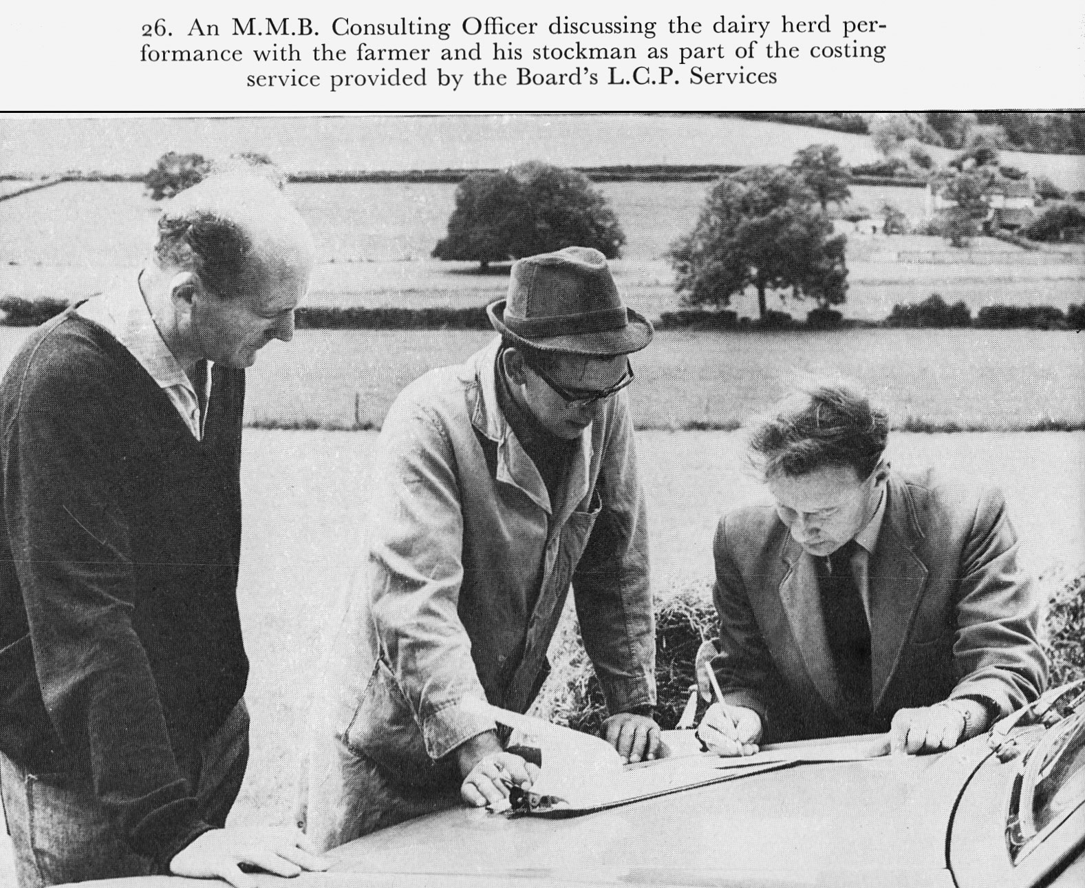 1973 Illustrations from 'Milk to Market', Stanley Baker