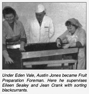 1964 - Austin Jones, Fruit Preparation Foreman with Eileen Sealey & Jean Crank sorting blackcurrants from 'William Horner and His Creamery' by Jill King 2012