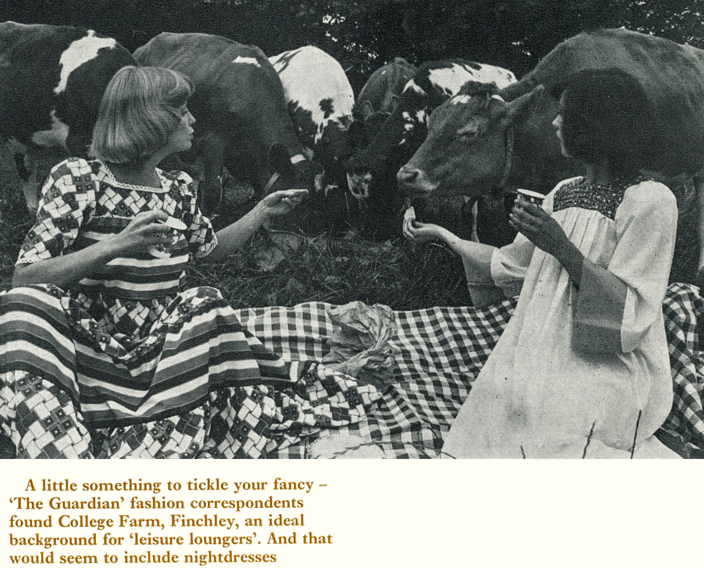1973 College Farm photoshoot. (Express News Autumn)