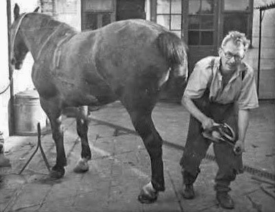 1950s? Sydney Whatling at Frith Manor Farm. Elisabeth Torry comments "My Dad, who was a farrier for the Express Dairy at Frith Manor Farm and College Farm." (Courtesy Elisabeth Torry)