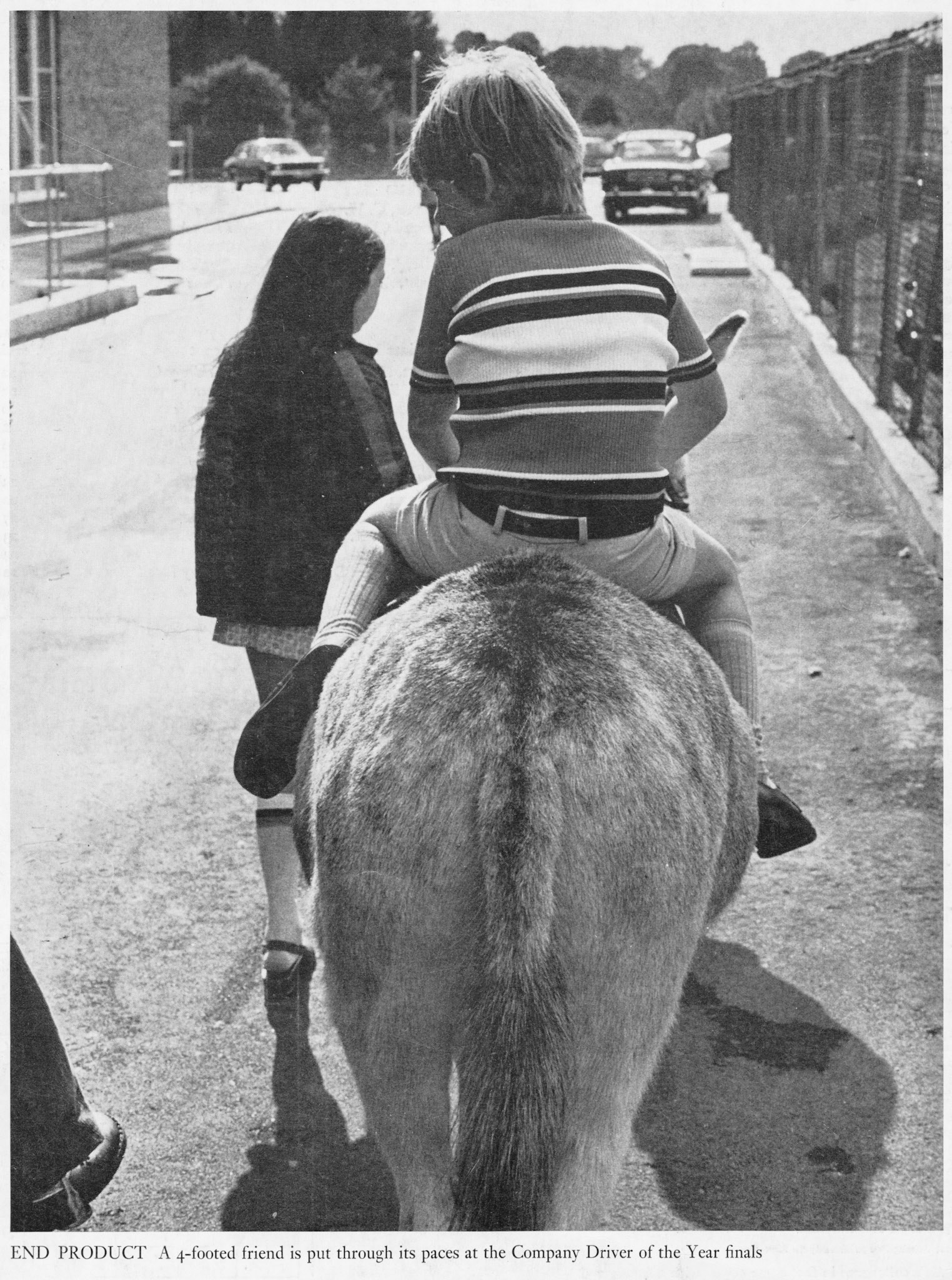 1973 4-footed friend is put through its paces at the Ruislip Driver of the Year finals