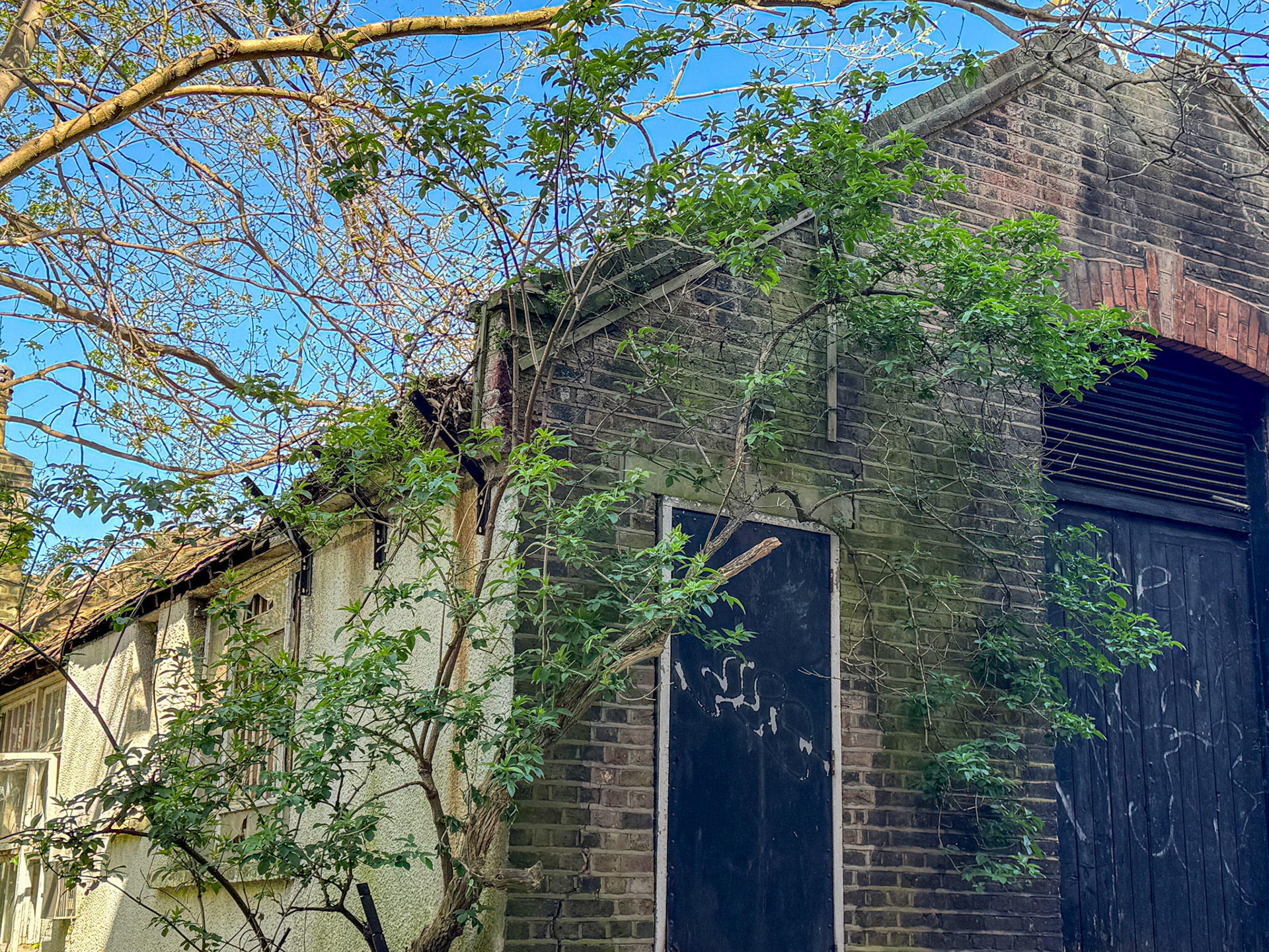 2025 Herne Hill Depot and Shop-side view from Peabody Buildings. (Express Dairy Tales collection)