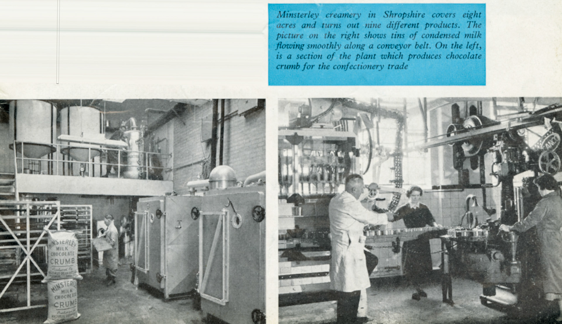 1959 Minsterley Creamery output included condensed milk and chocolate crumb