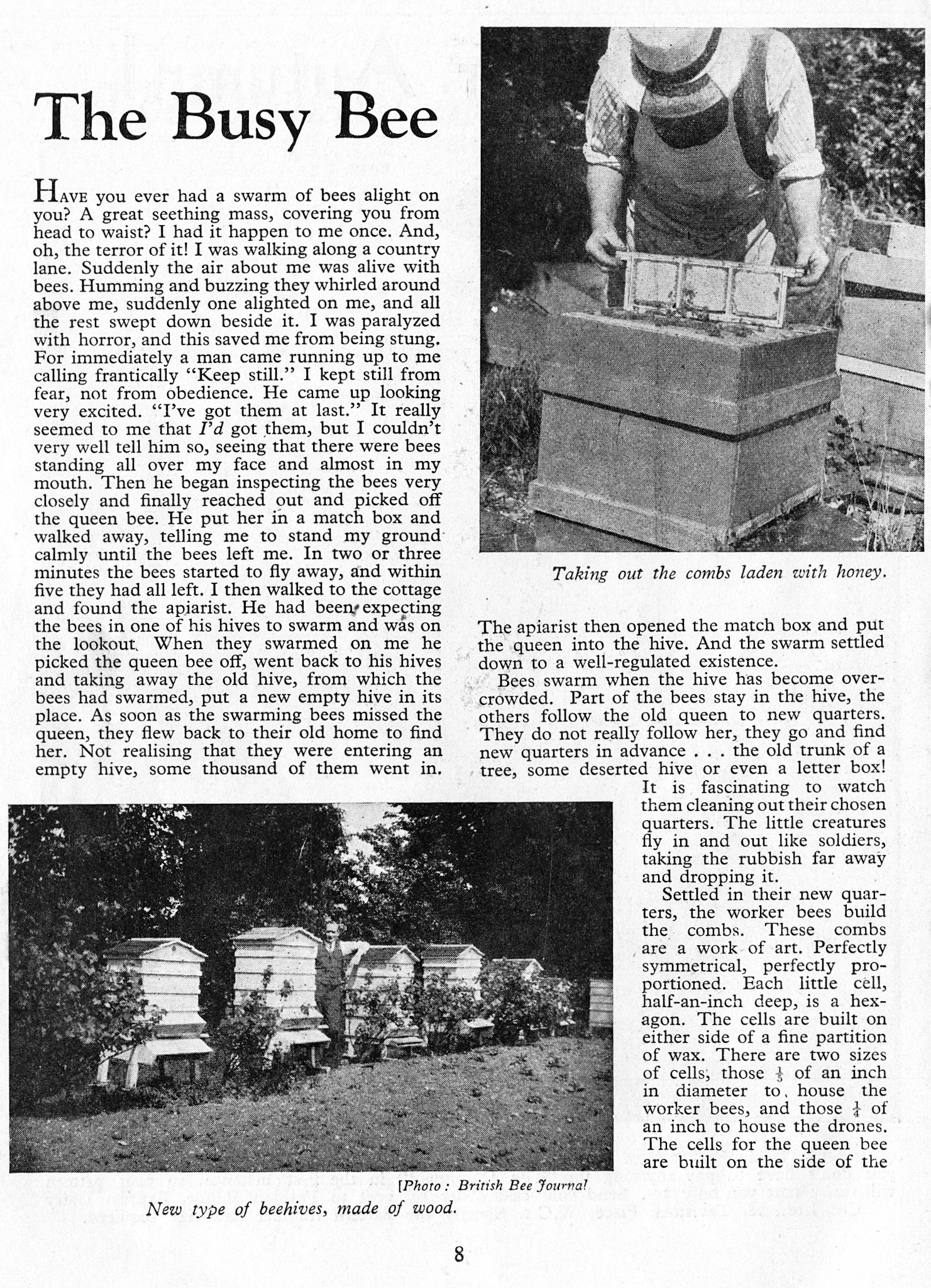 1934 September-Dairymaid Magazine 39 (Express Dairy Tales Archive)