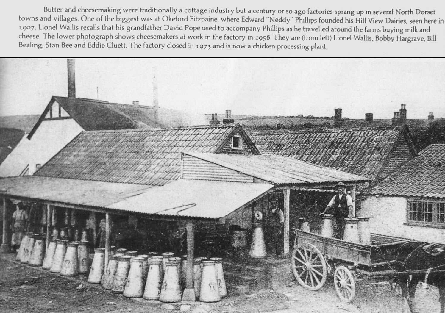 1907 Hill View Dairies in Okeford Fitzpaine, just north of Milborne St Andrew. (Courtesy Andrew Wallis, FB)