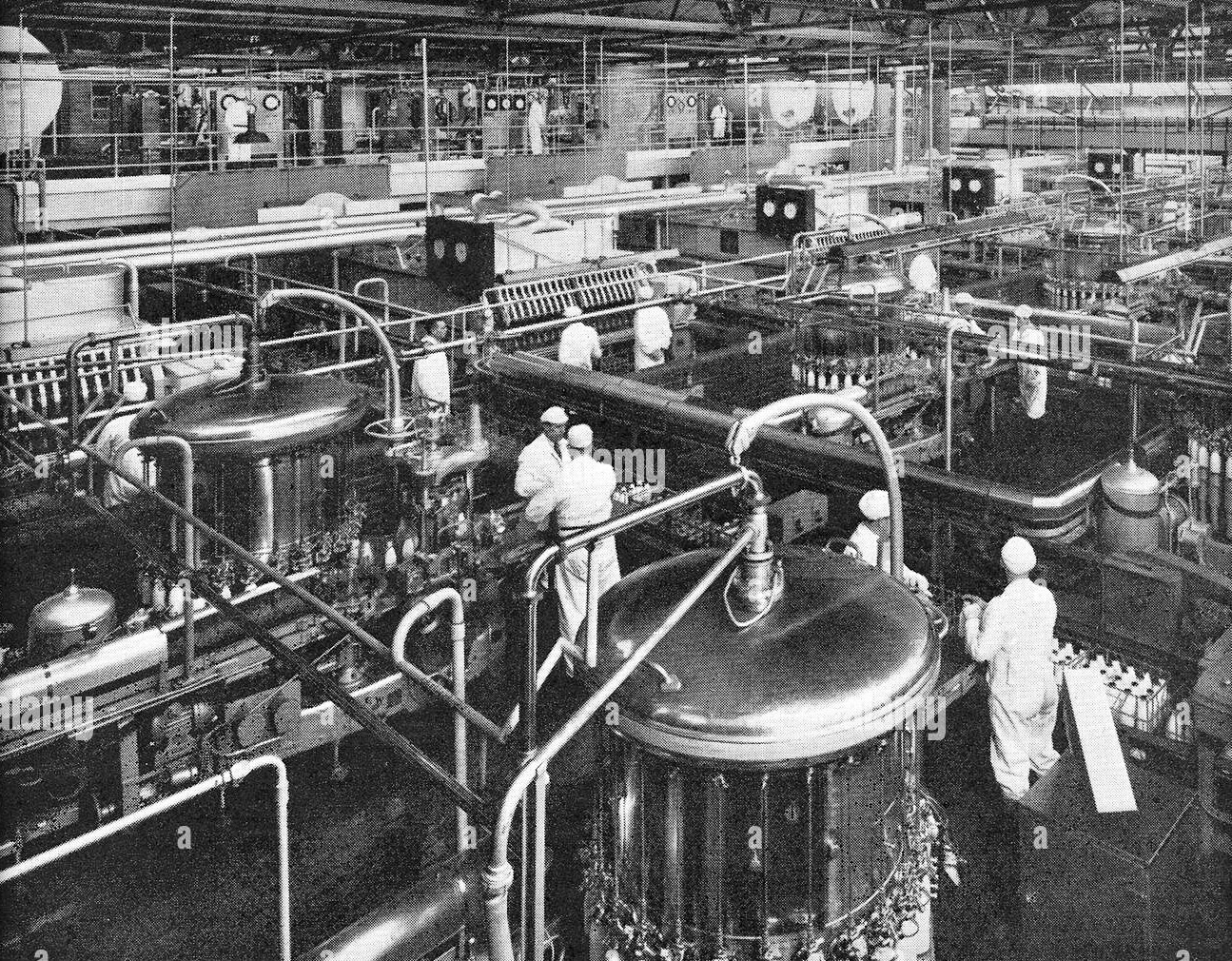 1930's Cricklewood Dairy. John Wilson comments "My grandfather was the Manager about that time! John Wilson, known as Tug." (Alamy stock photo)