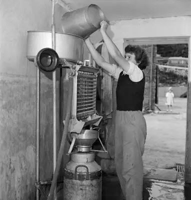 1950's Newton and Noss, South Hams, Devon "A woman pouring milk from a bucket into a milk cooler at a small milk processing plant." (Courtesy Historic England, Ref: AA087408)