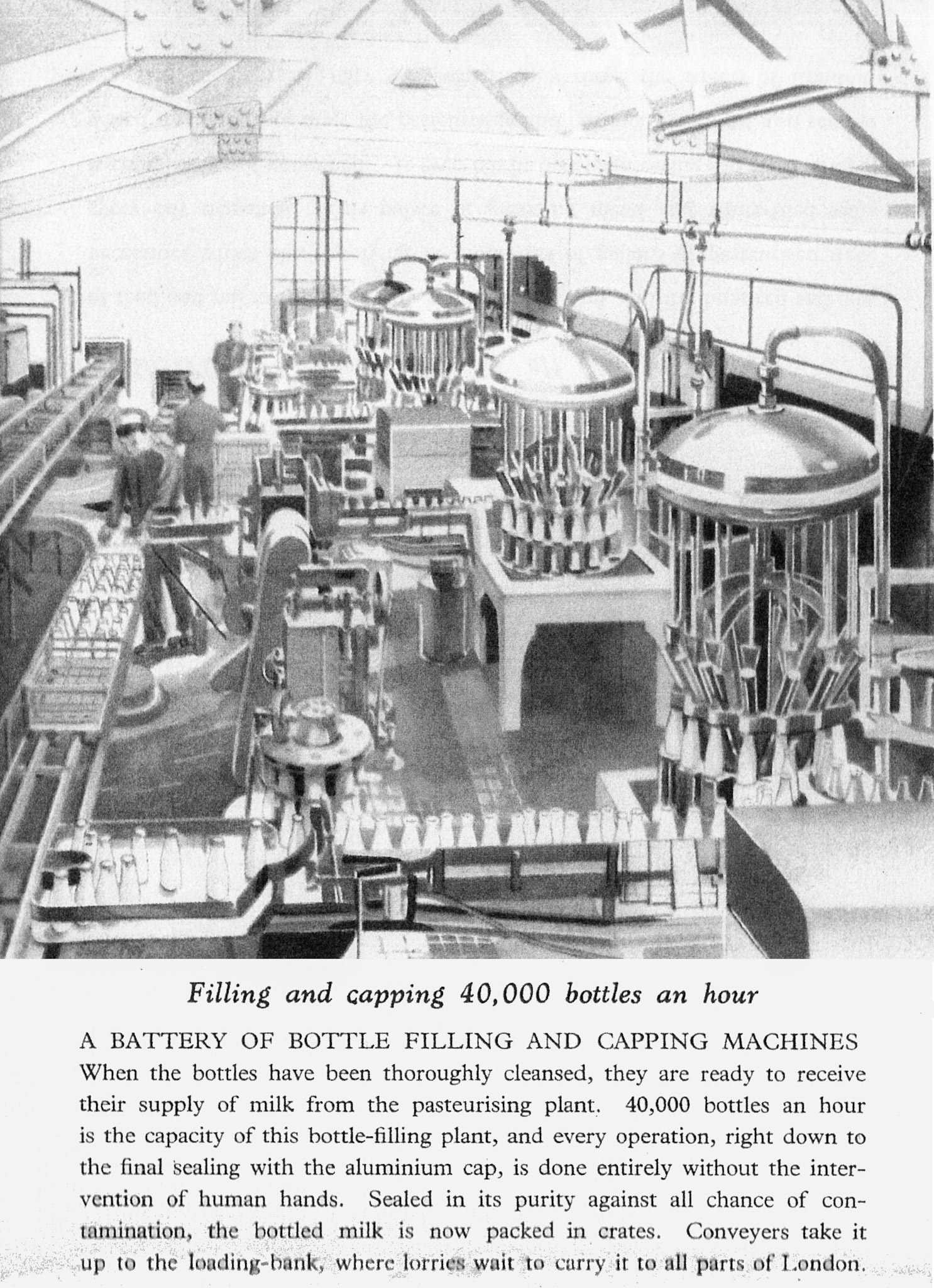 1940's Cricklewood - from dairy brochure. (Courtesy Paul Smith)
