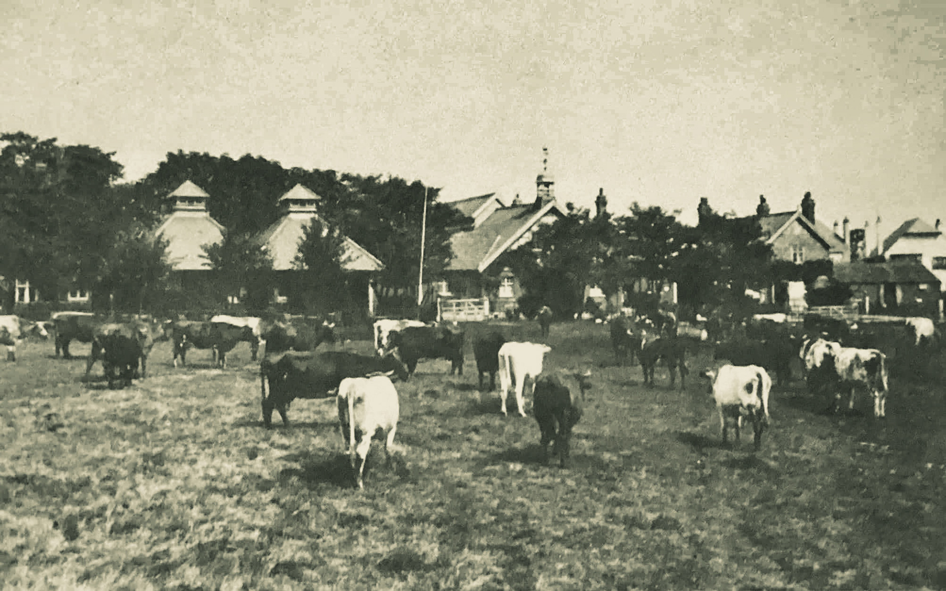 1890's? College Farm, Finchley (Courtesy Michael Aldread)