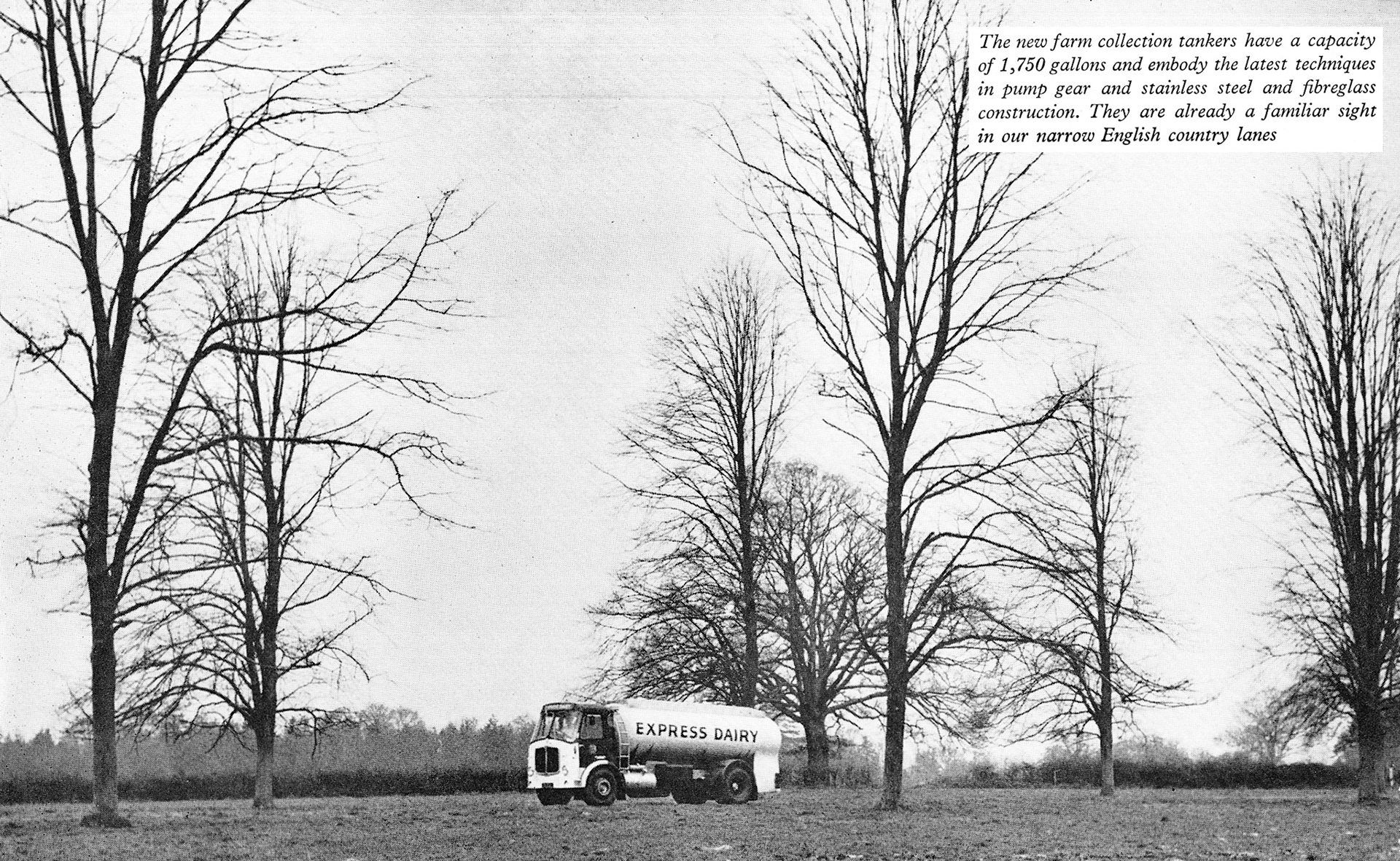 1961 First Express ex-Farm 1750 gallon bulk milk tankers based at Rickmansworth, featuring Bob Brownsell from South Ruislip, who just completed 20 years with Express. Bob was trained for two weeks at South Morden laboratory, where MMB drivers are also trained. (Express News Summer)