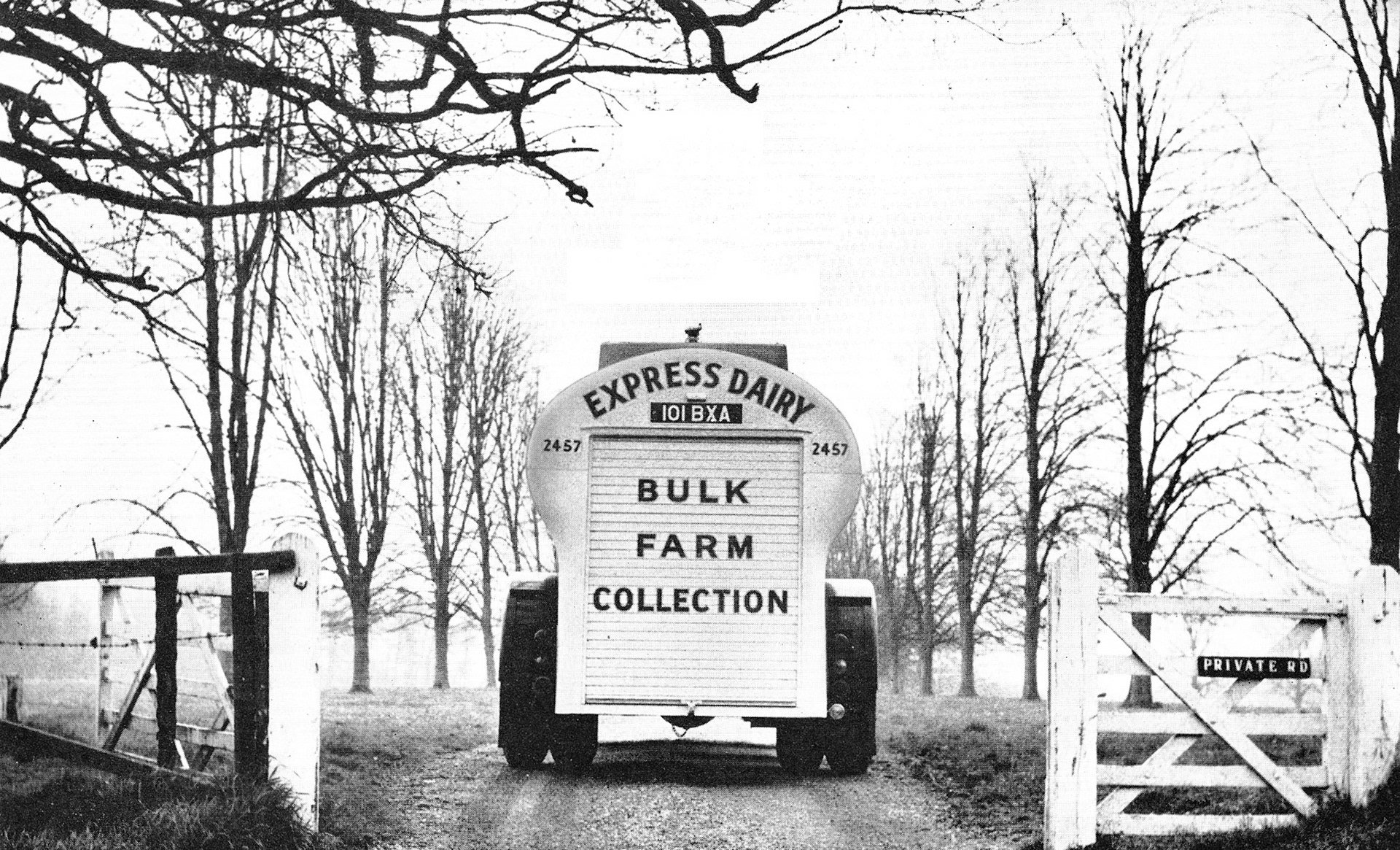 1961 First Express ex-Farm 1750 gallon bulk milk tankers based at Rickmansworth, featuring Bob Brownsell from South Ruislip, who just completed 20 years with Express. Roy Toms identifies Micklefield Farm, Sarratt. Bob was trained for two weeks at South Morden laboratory, where MMB drivers are also trained. (Express News Summer)