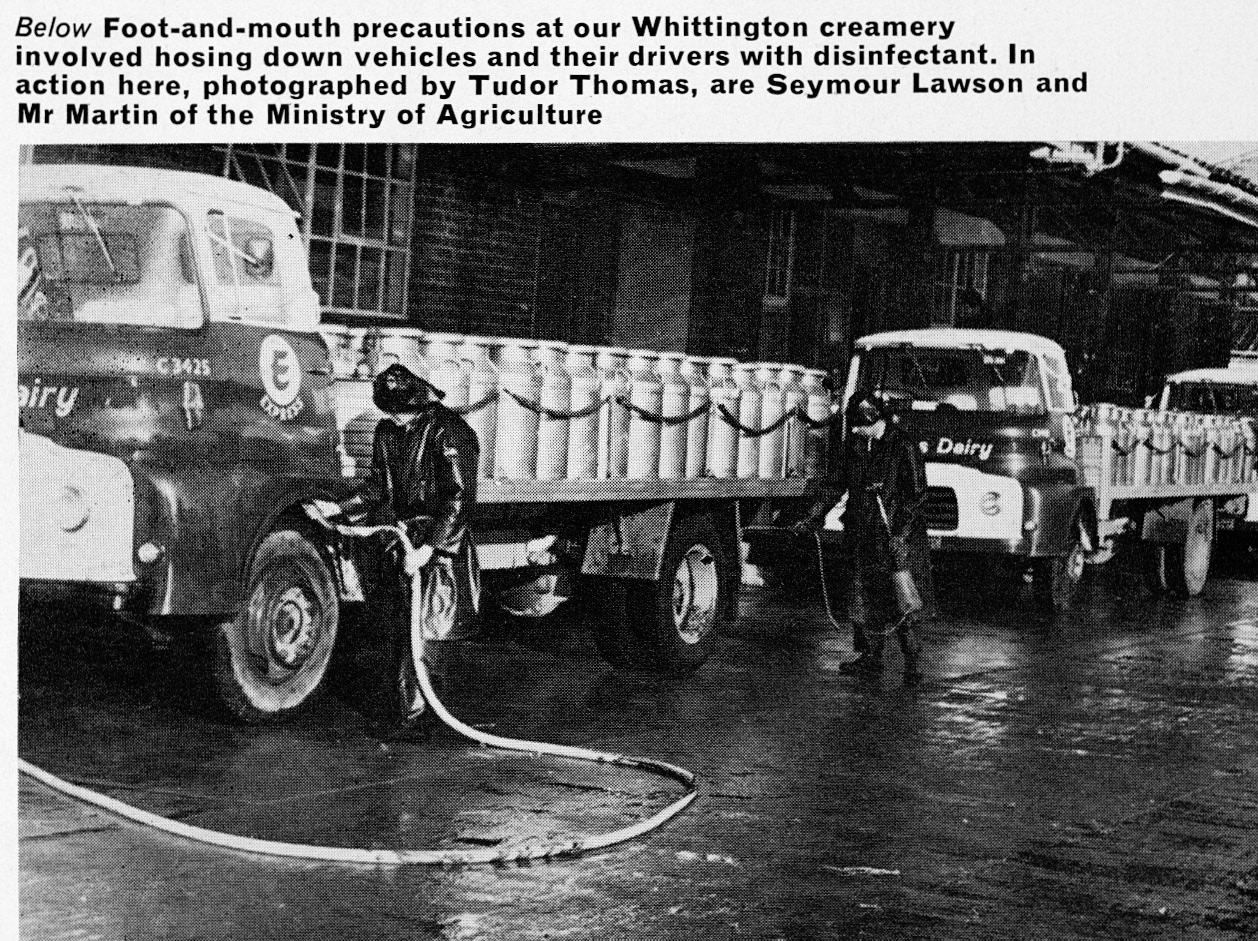1968 Foot &amp; Mouth precautions