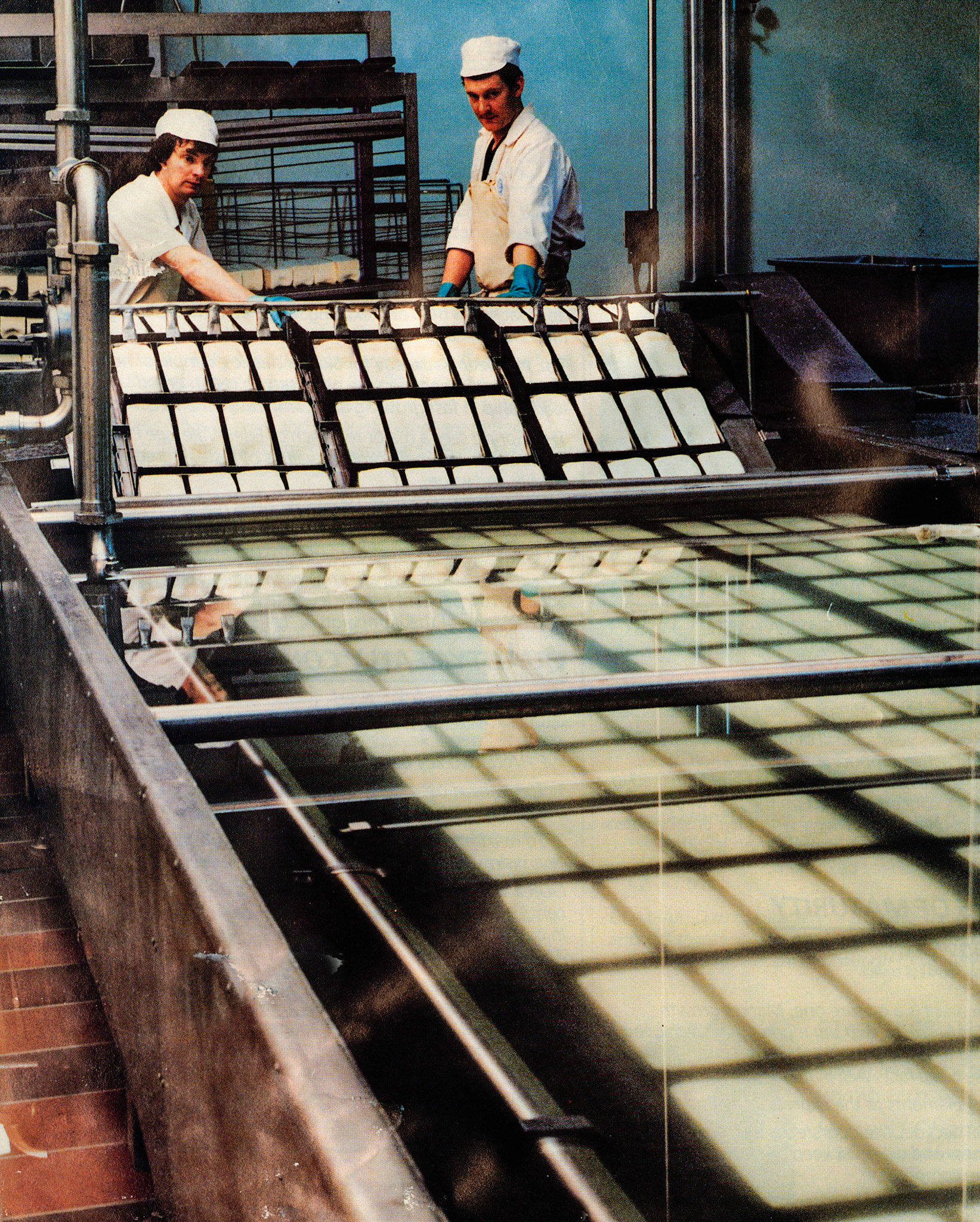 1986 Mozzarella production at Magheralin creamery in Northern Ireland