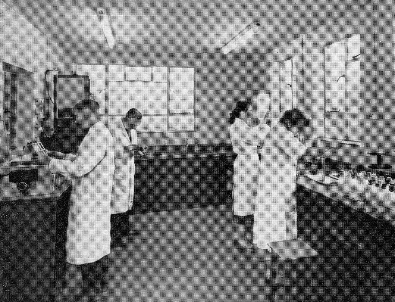 1957 Hammett's Dairies brochure extracts-laboratory in action. (Courtesy Michael Mitchell)