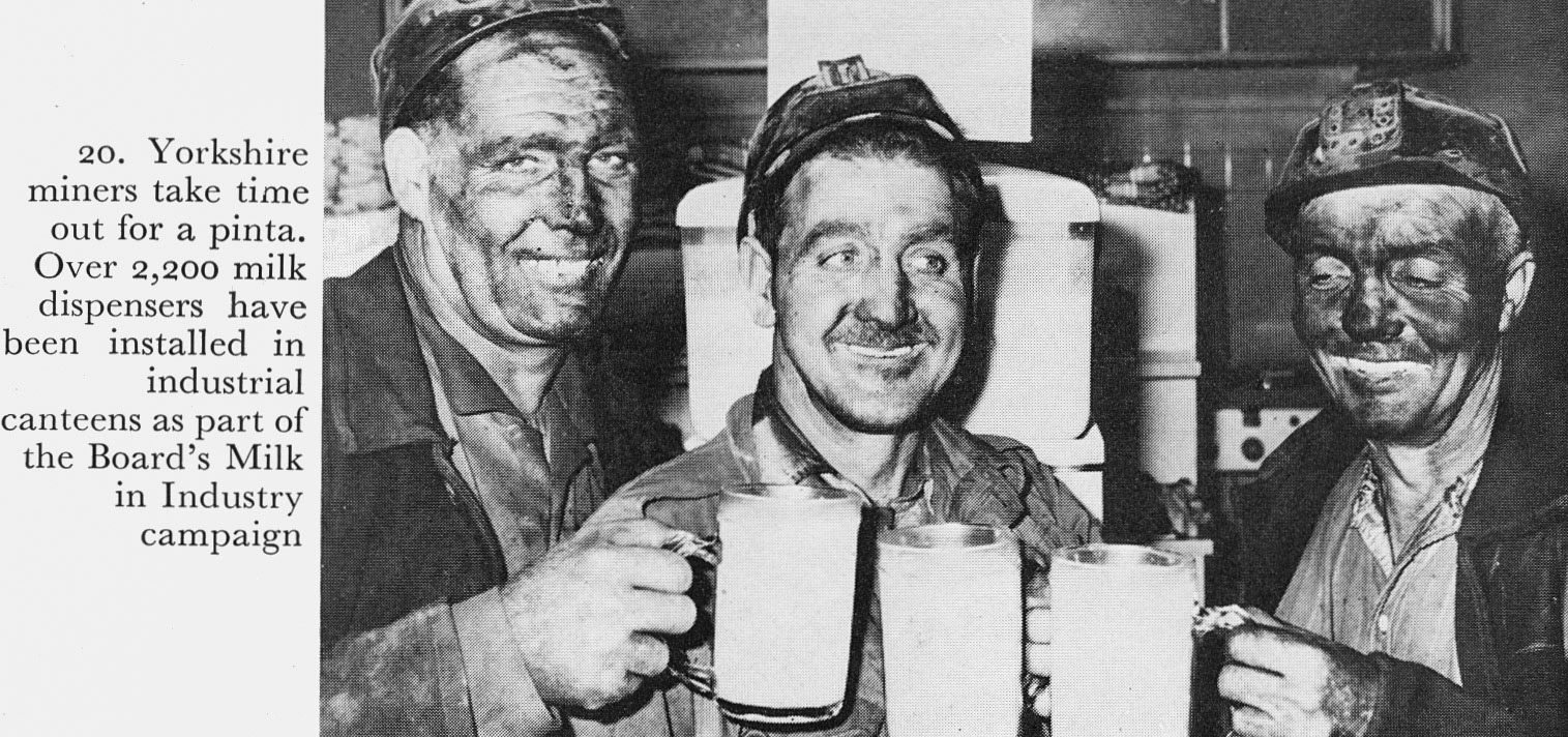 1973 Illustrations from 'Milk to Market', Stanley Baker