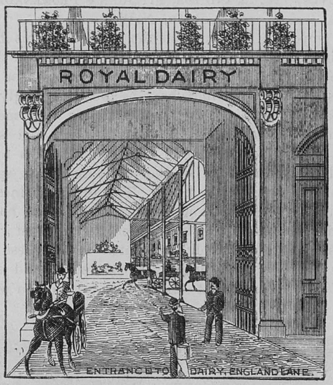 1893 Mr J Richards, Cowkeeper and Dairyman, Royal Dairy, 41 England Lane, Belsize Park, and 90 West End Lane, West Hampstead. Illustration for Progress and Commerce. (Courtesy Look and Learn)
