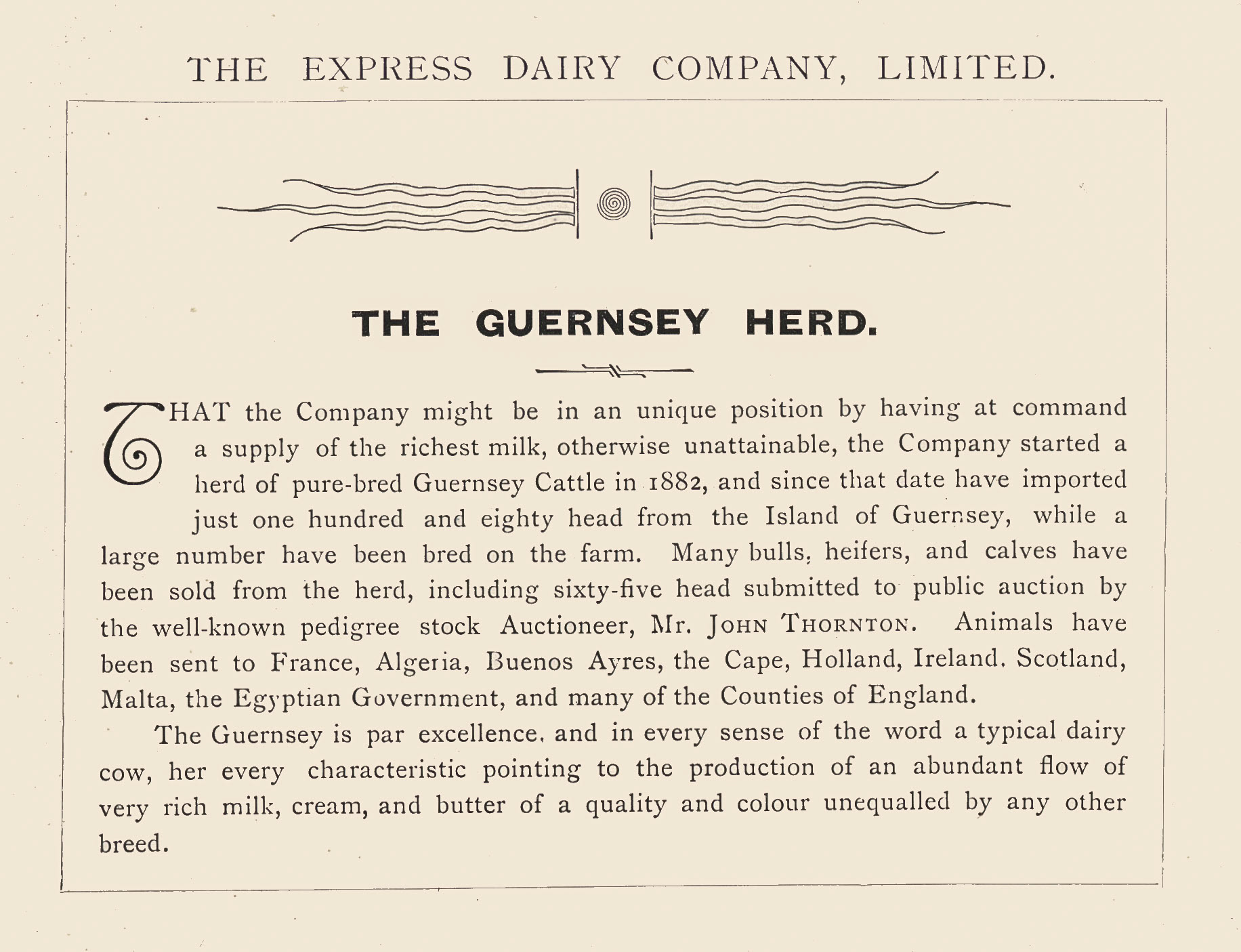 1893 The Guernsey Herd, from 'Souvenir from Finchley' (Courtesy Brian Wastell)