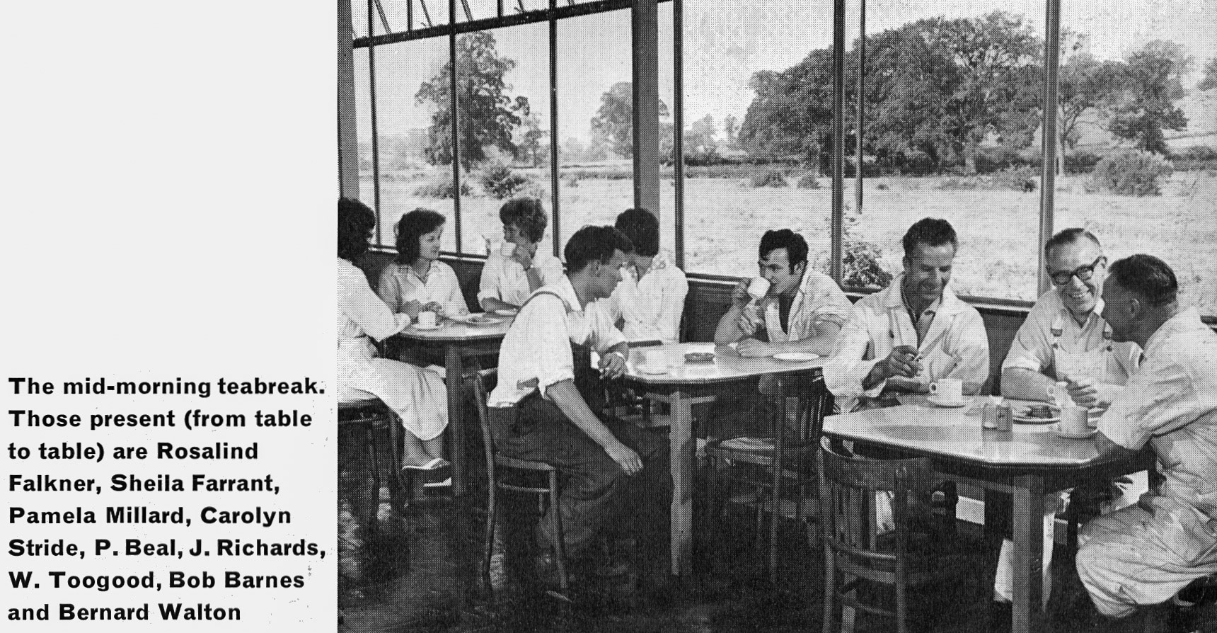 1963 Staplemead-extract from feature article-canteen break, with Rosalind Falkner, Sheila Farrant, Pamela Millard, Carolyn Stride, P. Beal, J. Richards, W. Toogood, Bob Barnes and Bernard Walton. Frank Dineen comments "Some of those folk were still there when I started in the labs in 1979. Mrs Craddock, Bill Toogood, Ken Stradling, Bernie Walton, Alwyn Turk was then in personnel management (now HR) the canteen with the best view is still there with updated windows". (Express News Autumn)