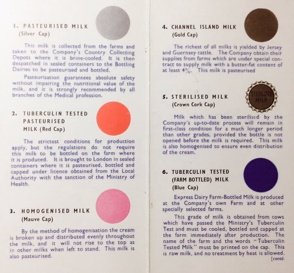 1950's Milk types brochure (Courtesy Michael Aldread)