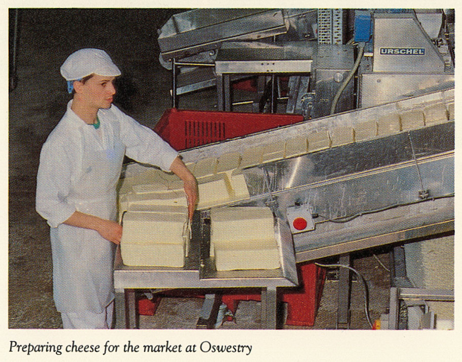 1992 Oswestry Cheese Packing - From The Cheesse Company Brochure