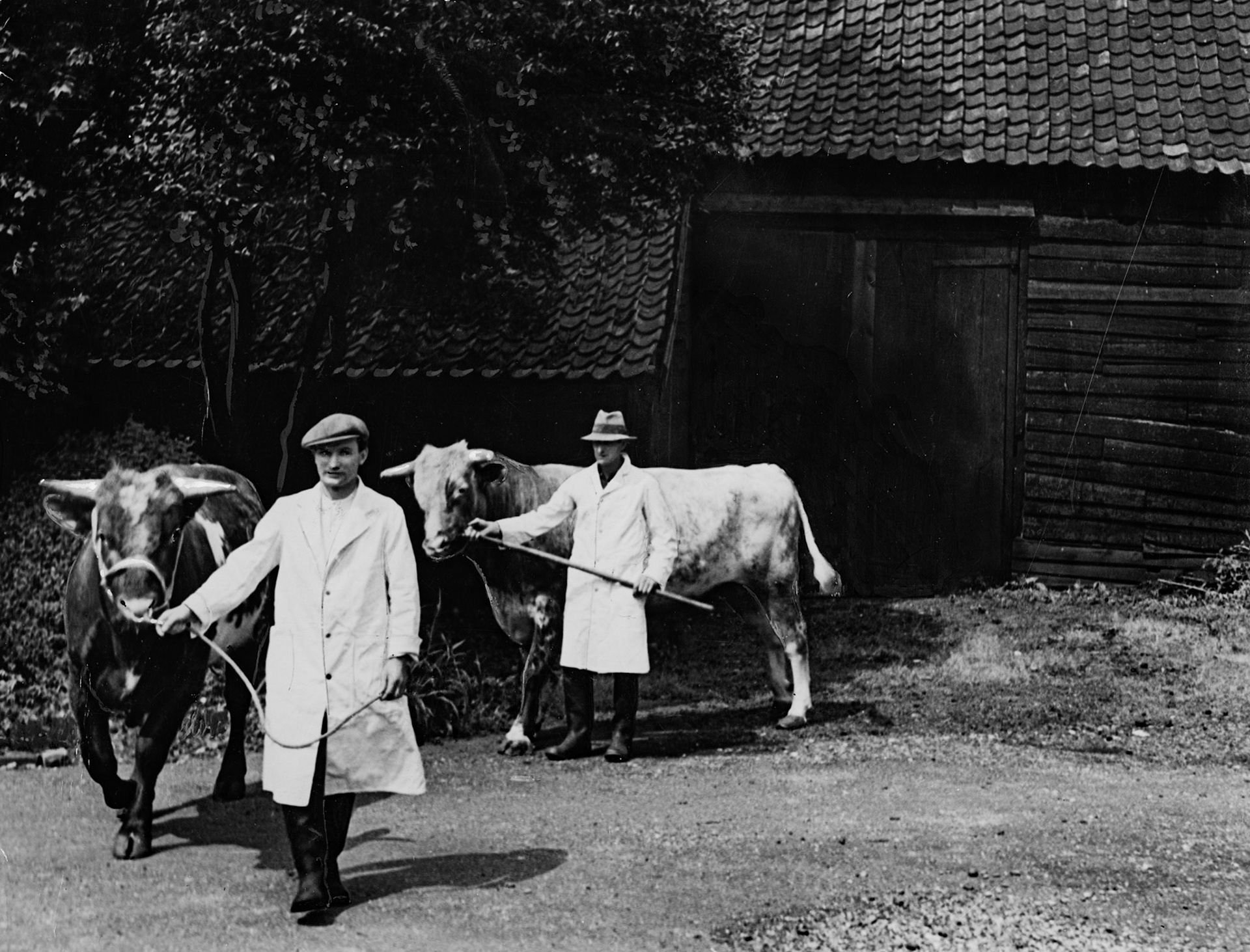 1940 College Farm (Courtesy Paul Smith)