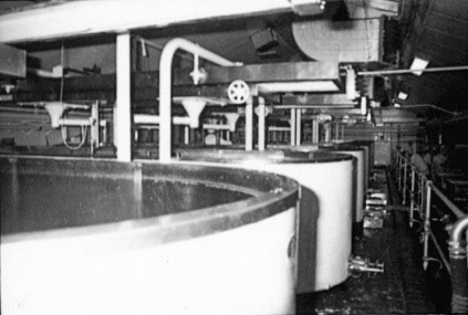 (Courtesy Joe Lyons)