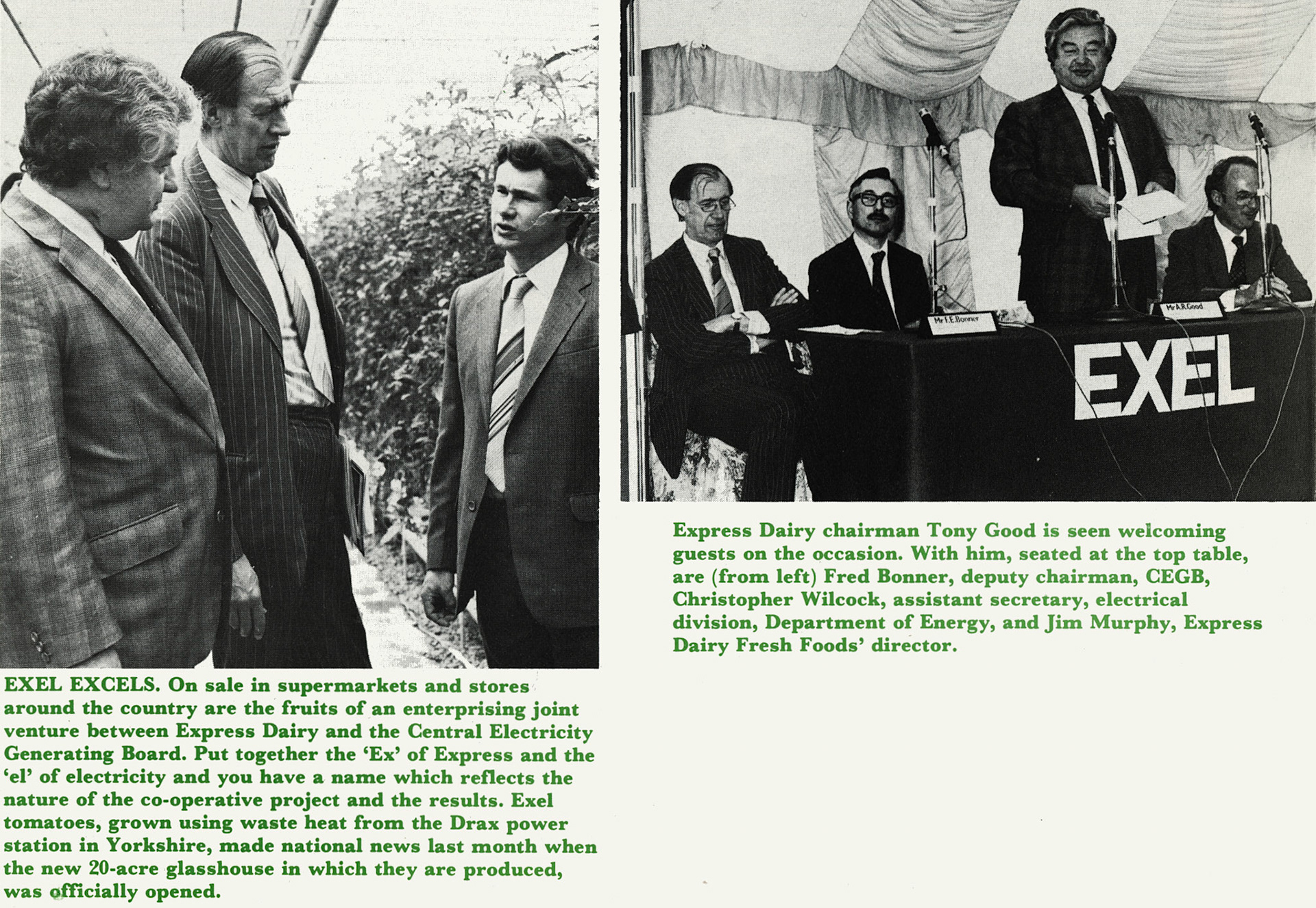 1981 Joint venture between Express and the CEGB is celebrated at the official opening of Drax glasshouse, as Exel. John Southwell comments "The person in the picture to the right of Tony Good was Derek Ryall, who was managing the unit on site. I had overall responsibility for it, together with a salad factory at Hemel Hempstead, a burger and frozen food factory at Aylesbury and a pate /smoked meats factory at Worlingworth in Norfolk - supplying Harrods and other similar outlets." (Express News July)