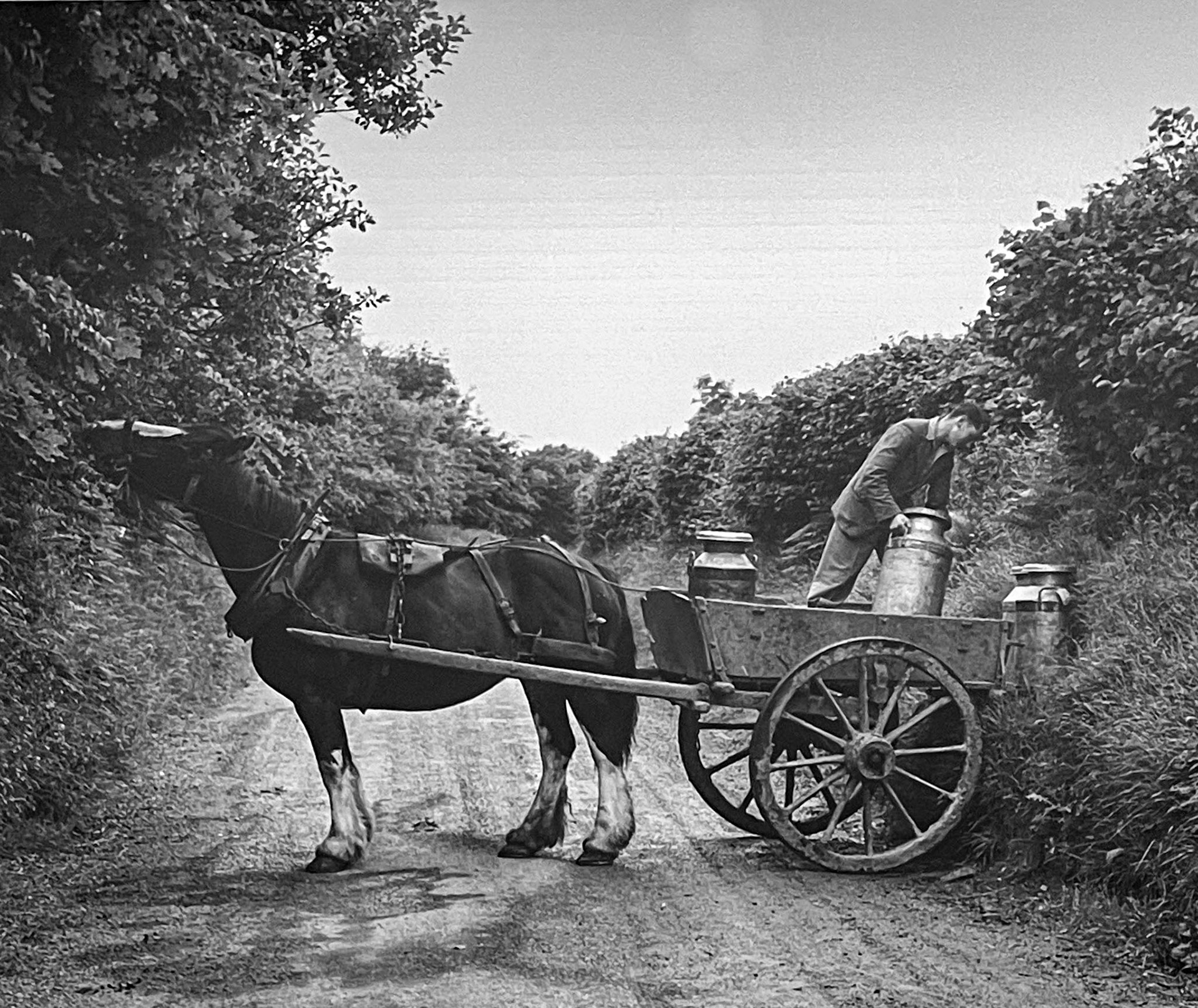 1952 Collecting milk churns in Devon. Lorna Holmes comments "The image is from North Devon, a couple of miles north of Barnstaple on the crossroads for Okewill/Churchill, Combe Martin/Shirwell" (Courtesy Museum of English Rural Life)