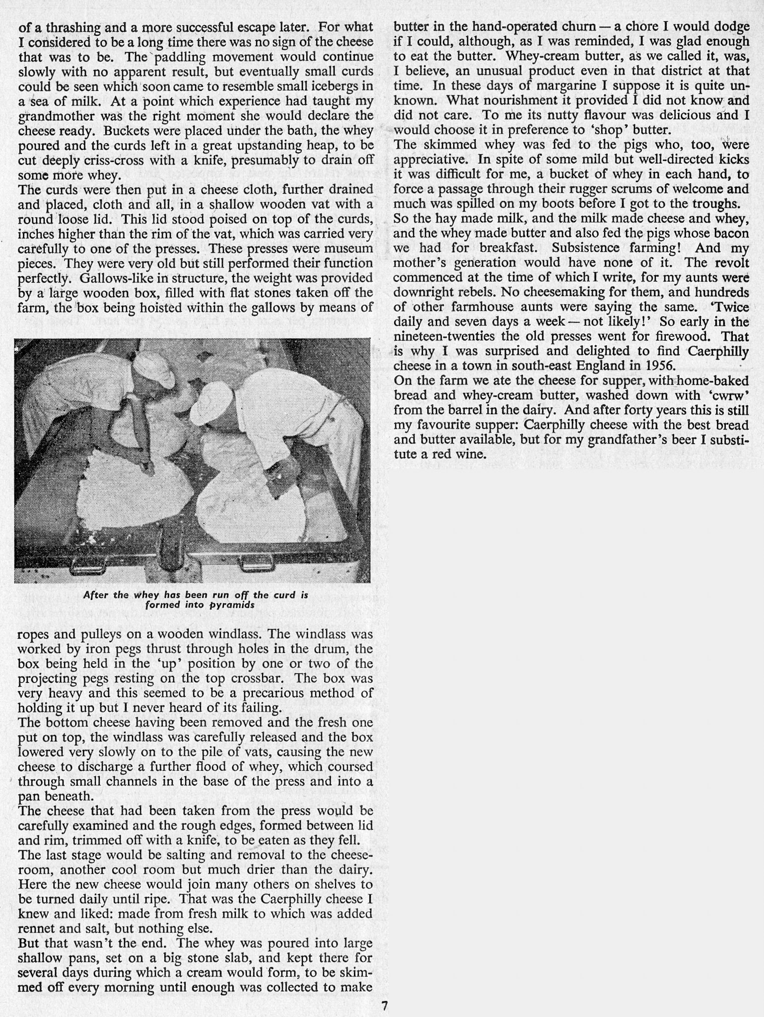1957 Milk Producer Magazine Excerpts-Arthur Jones remembers Caerphilly cheesemaking in the farmhouse around the end of WW1. (January, EDT Collection)