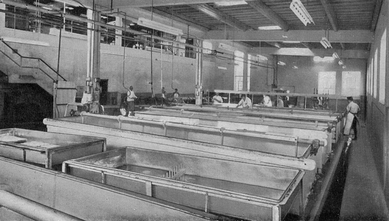 1957 Hammett's Dairies brochure extracts-cheese vat room. (Courtesy Michael Mitchell)