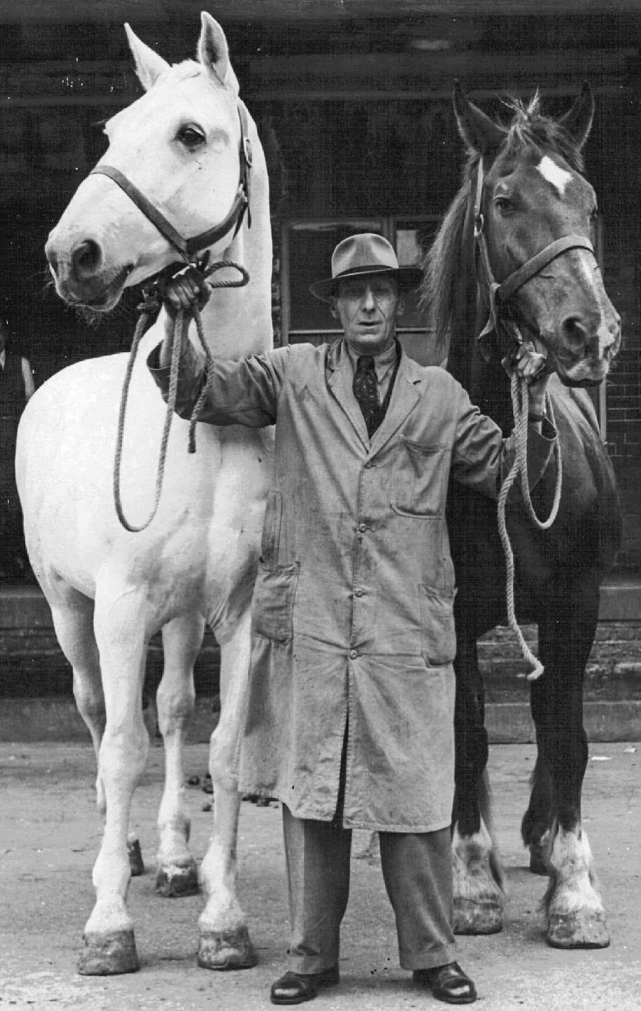 1950s? Neville and Griffin, Alpha Street, Slough. Alison Wright comments "My grandad was a milkman for Neville &amp; Griffin dairy in Slough" (Courtesy Alison Wright)