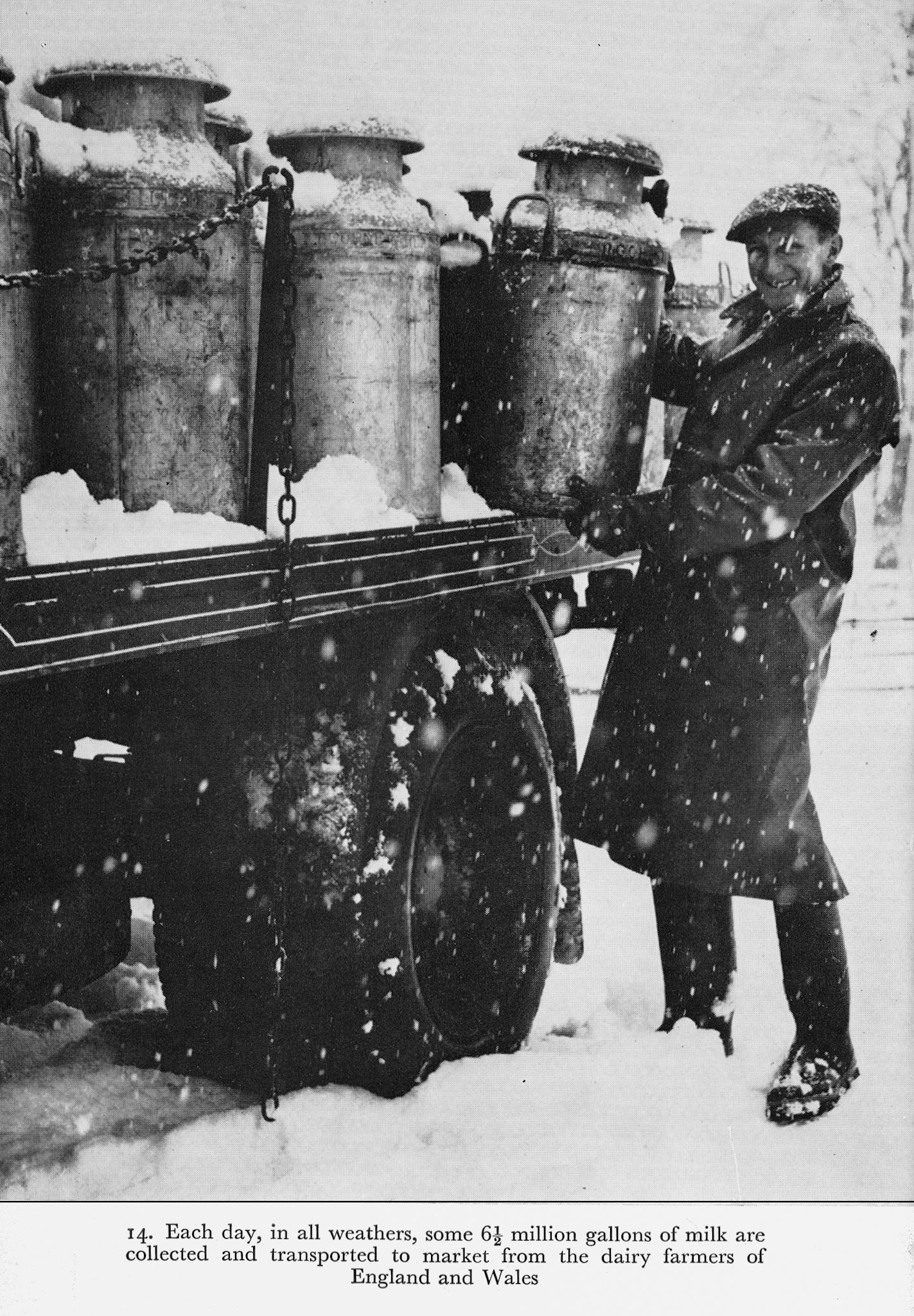 1973 Illustrations from 'Milk to Market', Stanley Baker