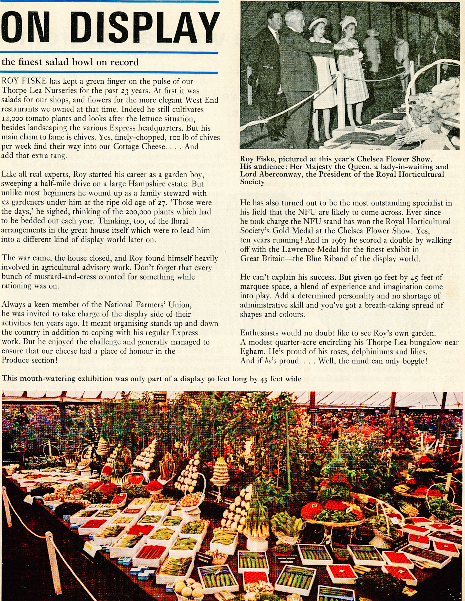 1970 Thorpe Lea Nurseries, part of Express, at the Chelsea Flower Show