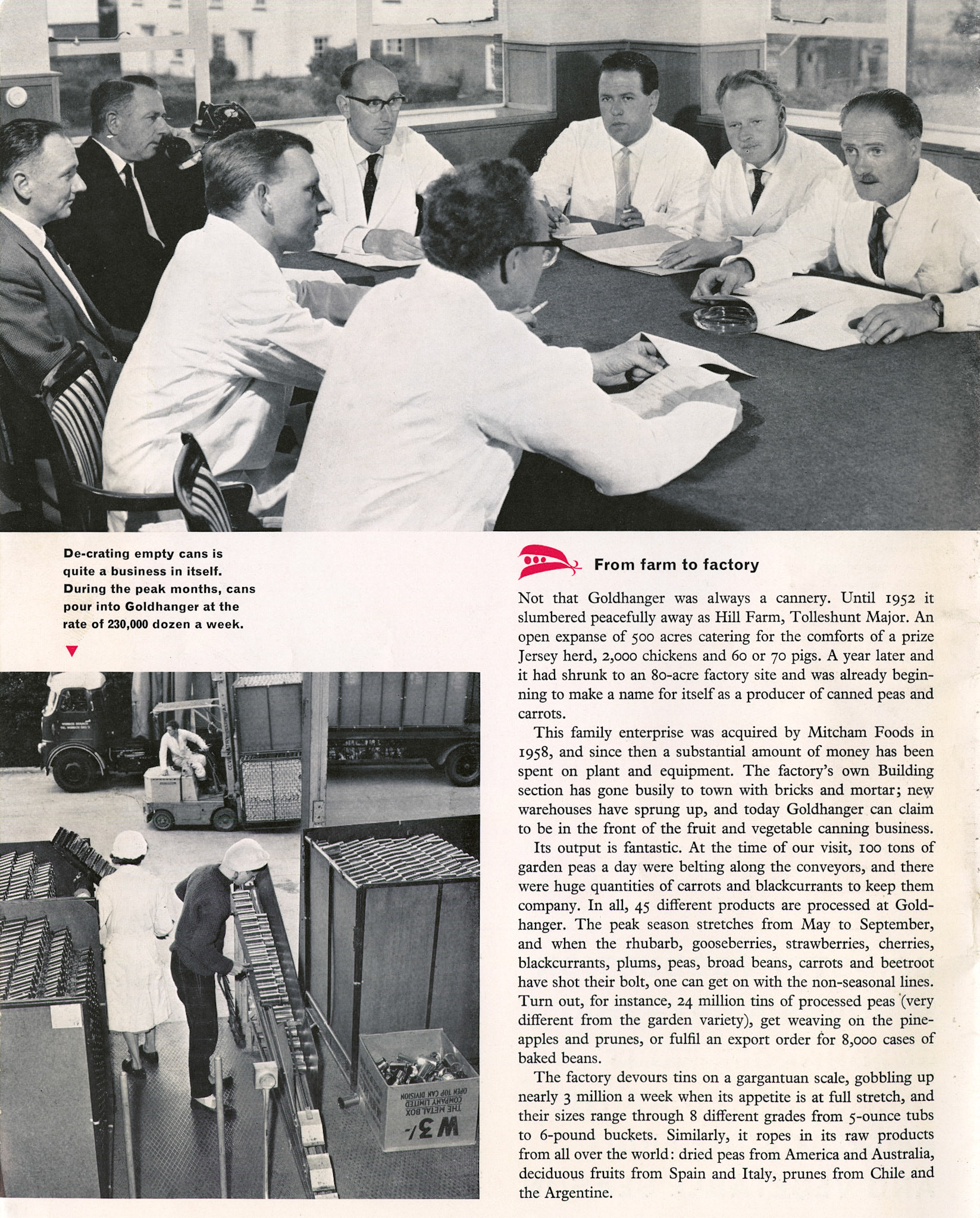 1963 Goldhanger Fruit Farm, Essex. (Express News Autumn)