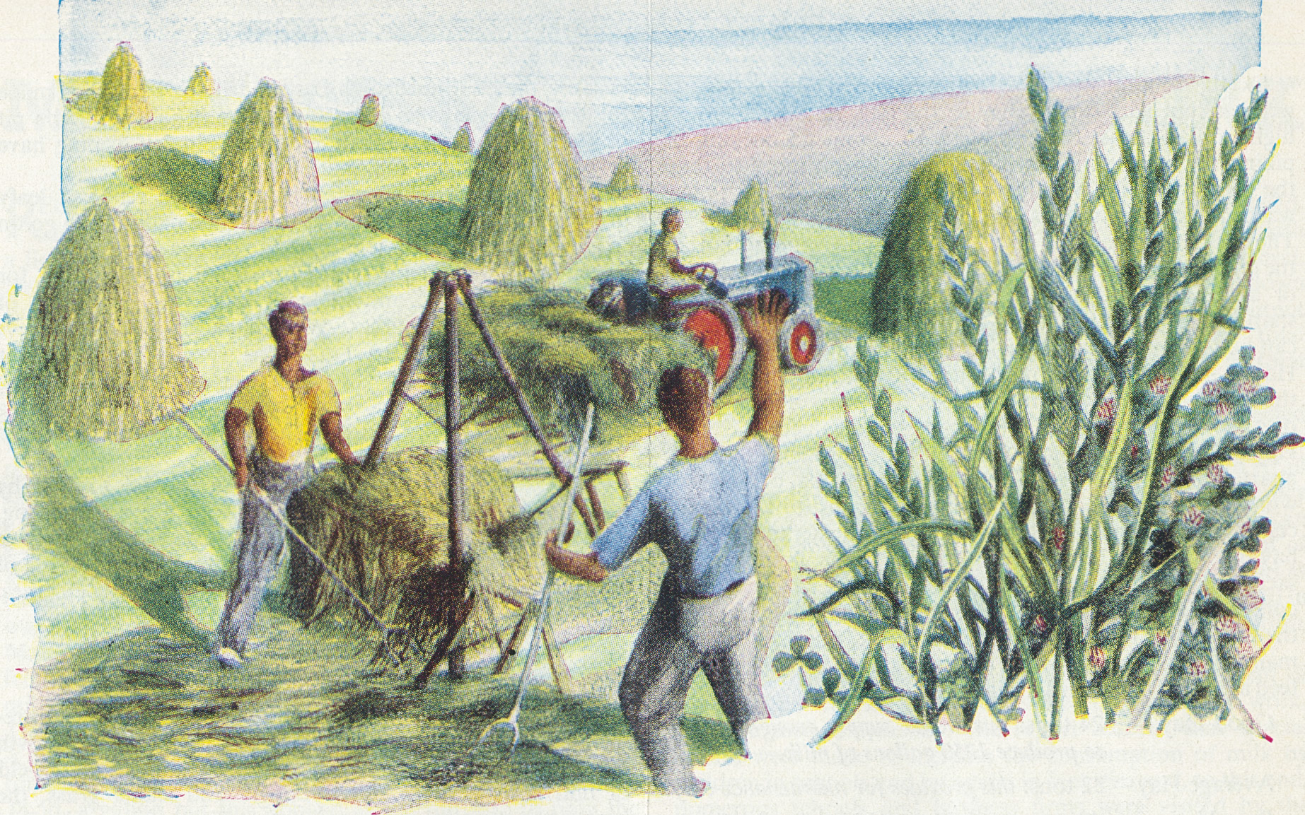 1957 Milk Producer Magazine Excerpts-From Fisons fertiliser advertisement feature.(June, EDT Collection)