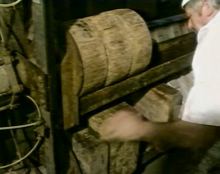1989 Reece's Creamery-Cheshire Cheese Production-30 cheeses at a time are loaded into presses for 1-2 days