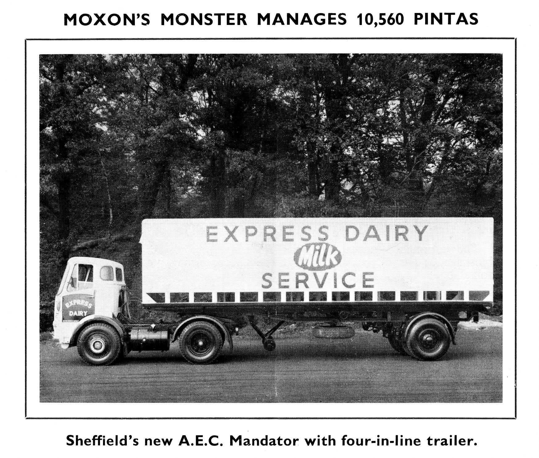 1964 Sheffield, AEC Mandator. (Fleet Flash magazine-October 1964 No 7, Front Cover picture)