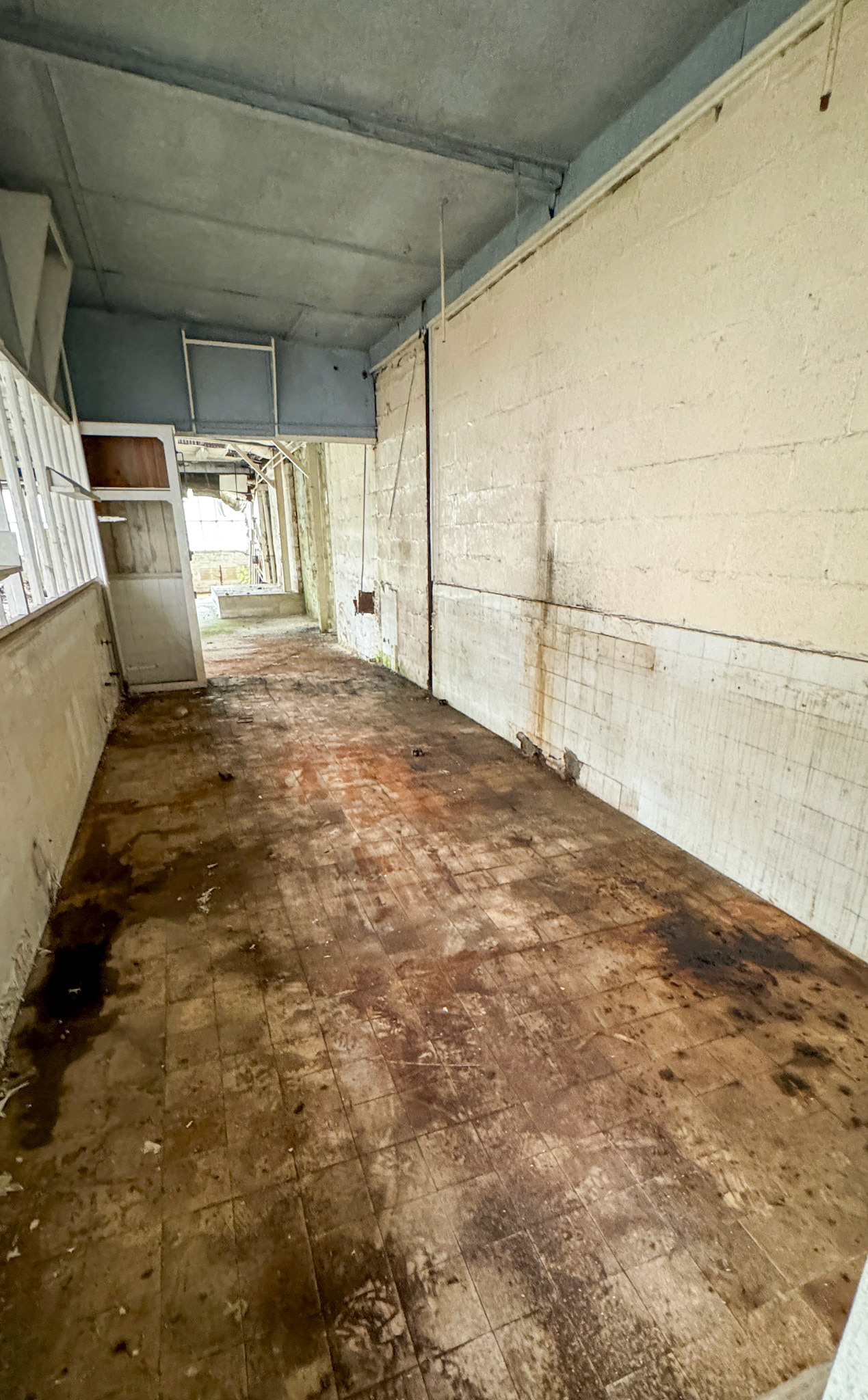 2024 Seaton Junction Site visit - 07