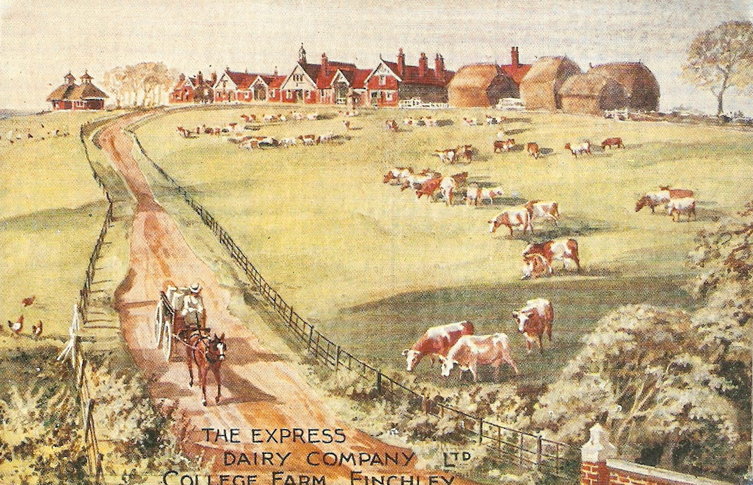 1900's ? College Farm. Rob Shepherd comments "My Dad lived at Kensit Memorial College back in the 1920's, just over on Hendon Lane so the farm etc. was his play area as a kid. Then my Uncle Les “Nobby” Rutherford was a milkman out of the Express Dairy depot that was on the farm at the time. I loved going there when out and about, Mrs Greenway used to take me and David on long walks to there and the 'Naked Lady' statue (I was always disappointed)."