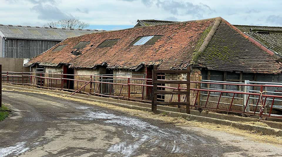 1990's? Pinner Park Farm. Clive Hamling comments "My first paid job was there, 40 hours a week for £40 when I was 14, driving a tractor up and down the fields rolling the grass. Tedious cannot describe it, but I was driving! Plus the tractor had a radio, cool, and I could have as much milk as I could drink, which got quite warm quite quickly 🤮. Wouldn't happen now" (Courtesy Stessy Haberfield)