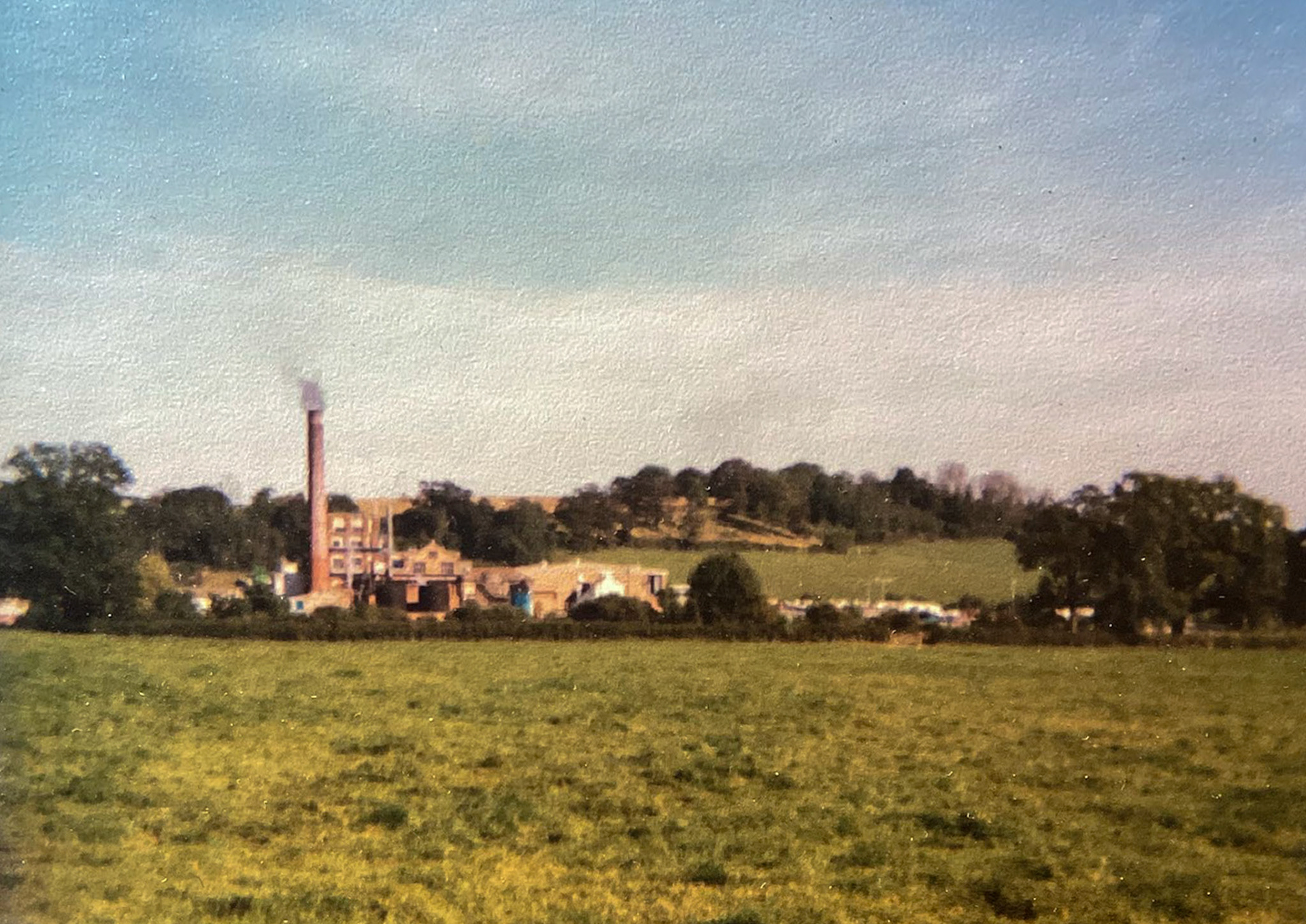 1979 Staplemead, taken during the summer. (Courtesy Kate Morrison)