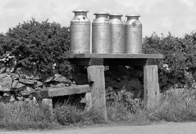 Four milk churns at the side of a country road. (Courtesy Mary Evans Picture Library)