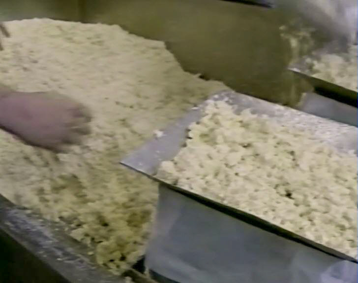 1989 Reece's Creamery-Cheshire Cheese Production-mould filling